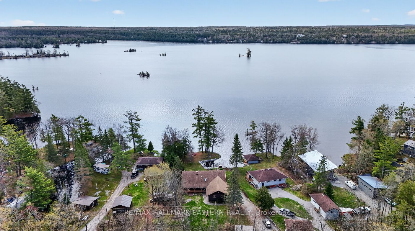 206 Fire Route 96 N/A, Trent Lakes, ON K0M 1A0 photo 4