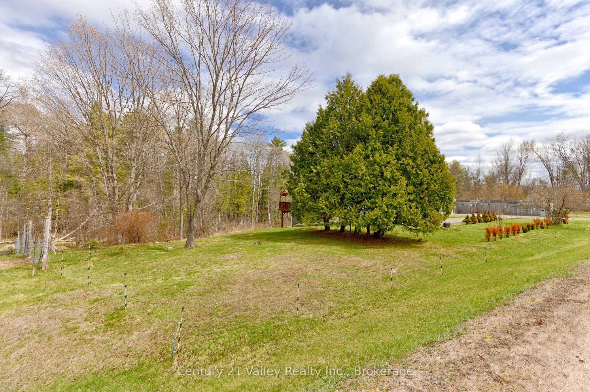 6196 132 Highway, Bonnechere Valley, ON K0J 1N0 photo 5