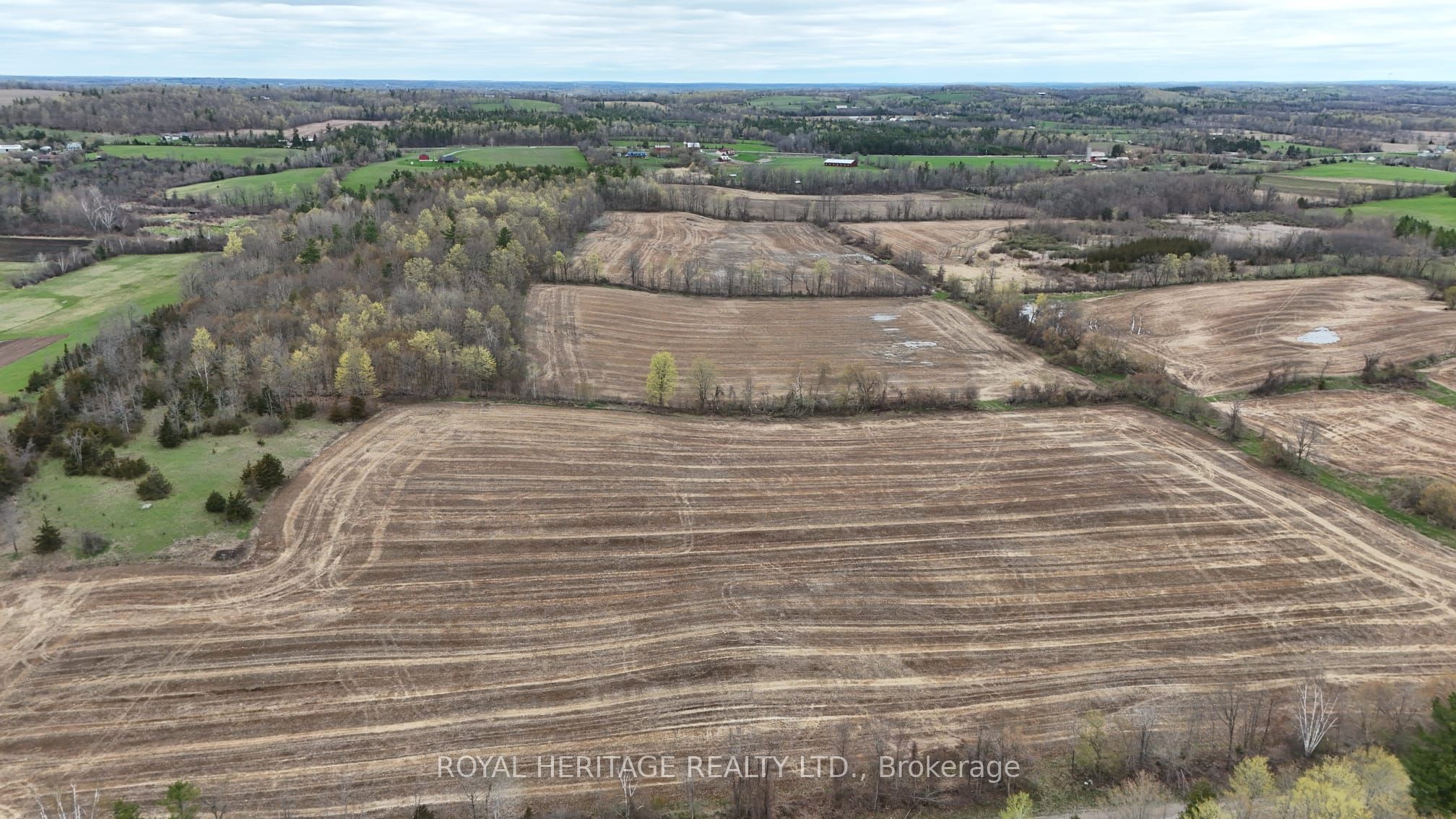 298 6th Line W, Trent Hills, ON K0L 1L0 photo 3