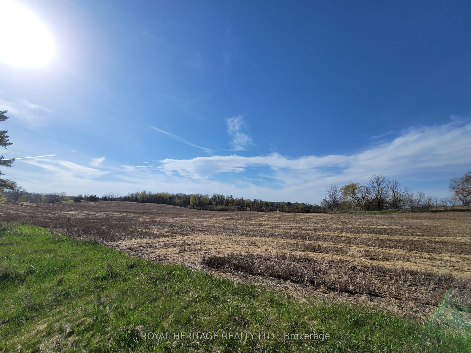 298 6th Line W, Trent Hills, ON K0L 1L0 photo 4