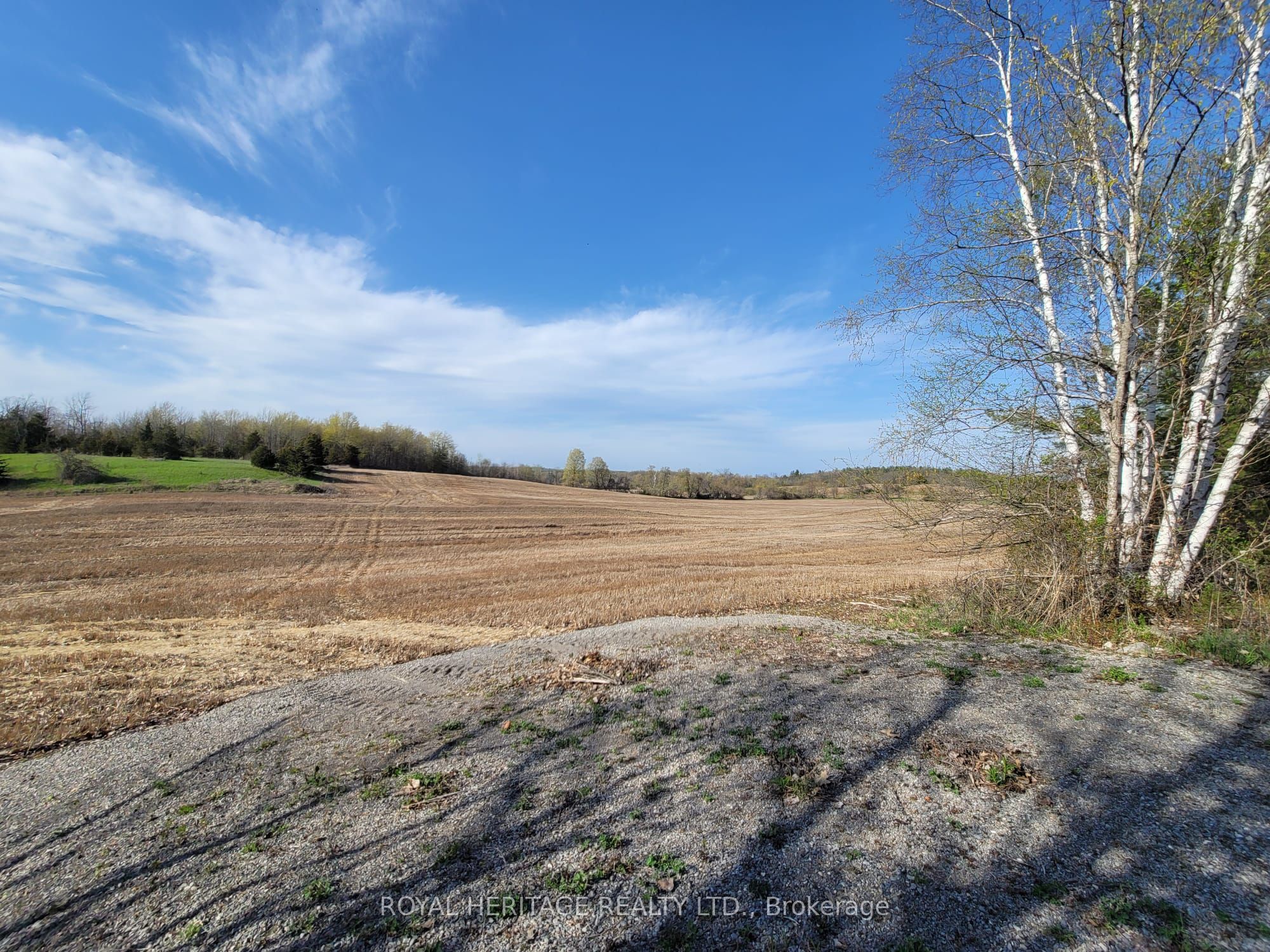 298 6th Line W, Trent Hills, ON K0L 1L0 photo 5