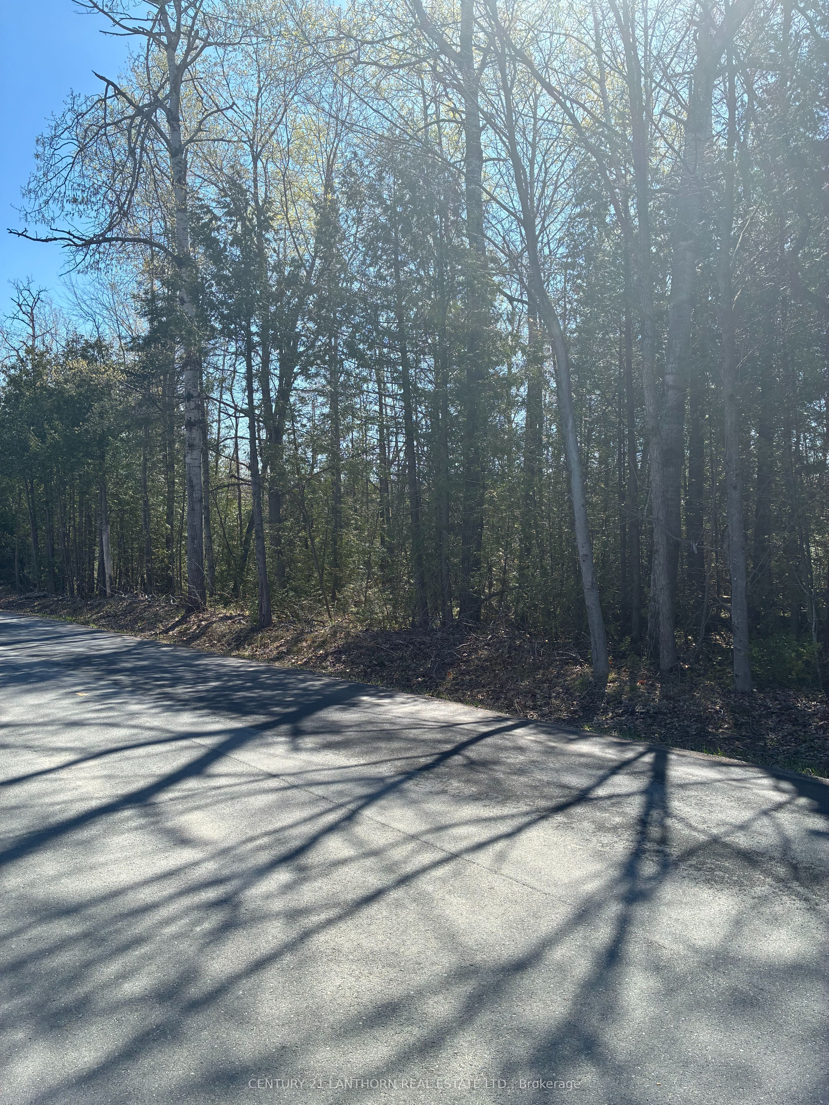 PT LT 6 CON 3 Sills Road, Centre Hastings, ON K0K 3E0