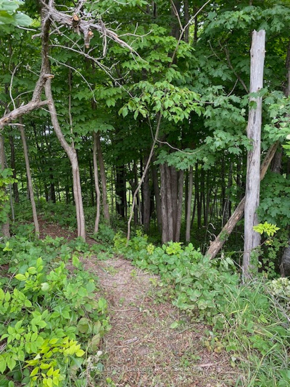 PTLT 40 12 Concession, Blue Mountains, ON N0H 2P0 photo 5