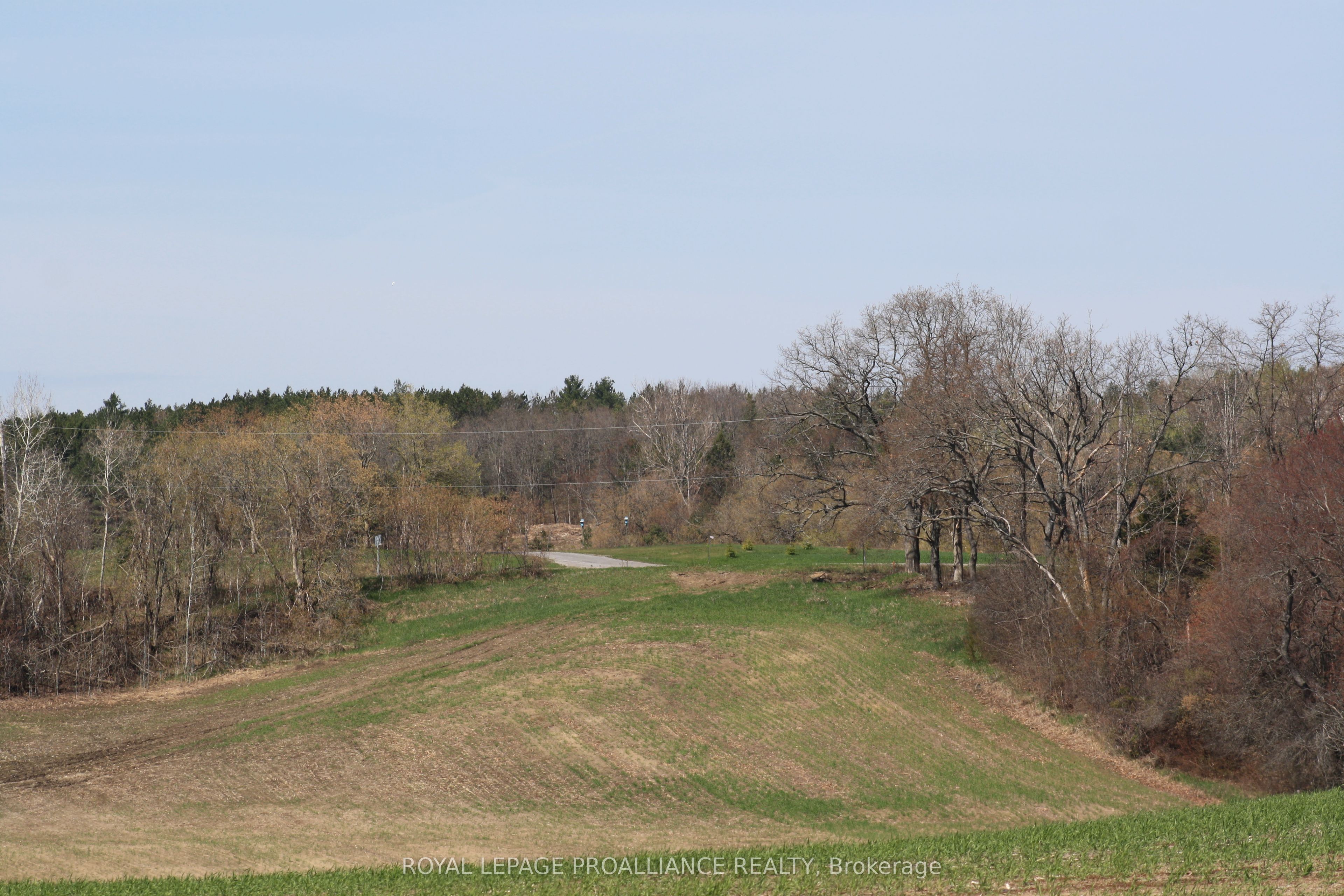 00 Riley Road, Cramahe, ON K0K 1M0 photo 5