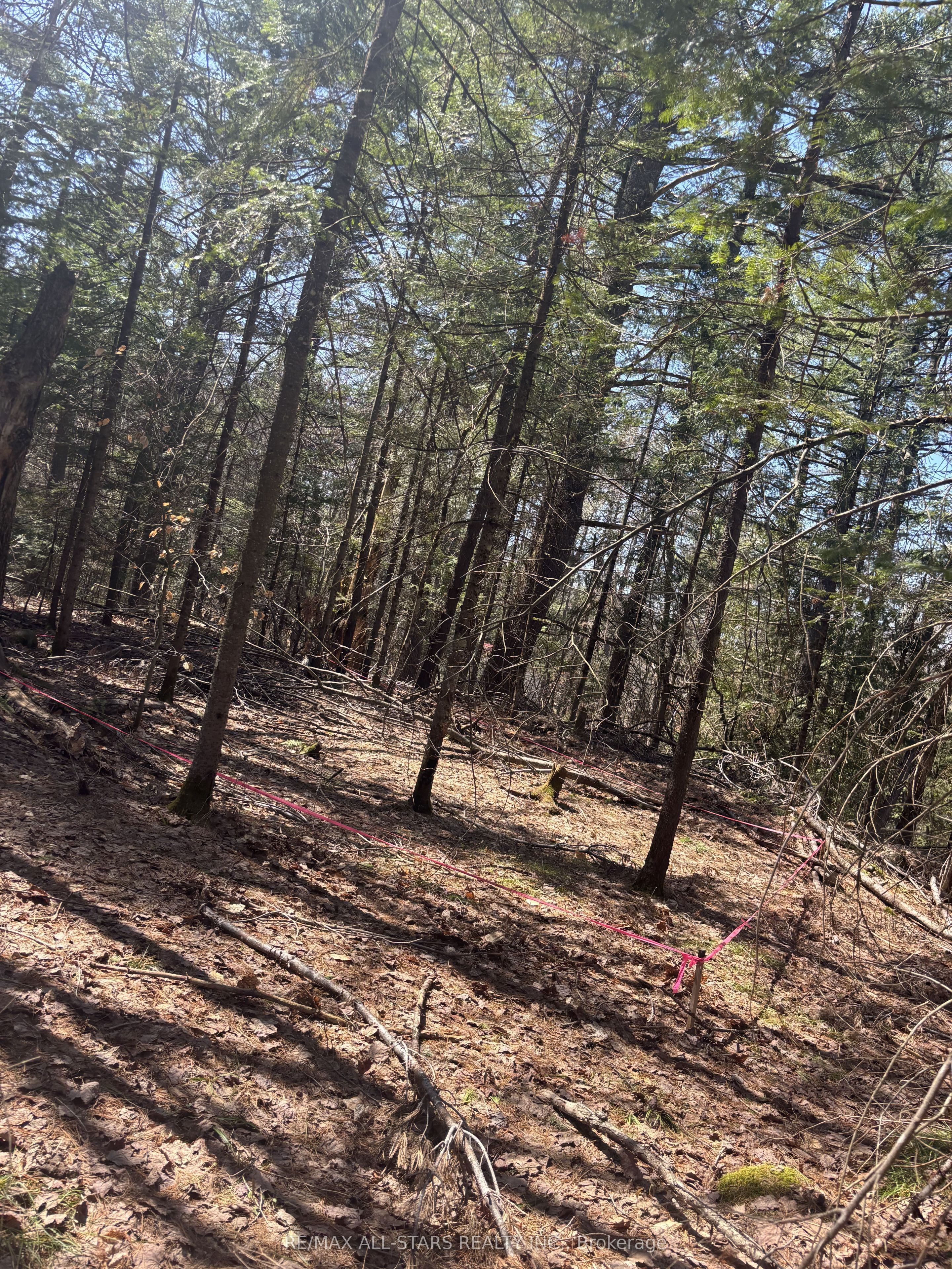 0 Kirkpatrick Lane, Bracebridge, ON P1L 1X3