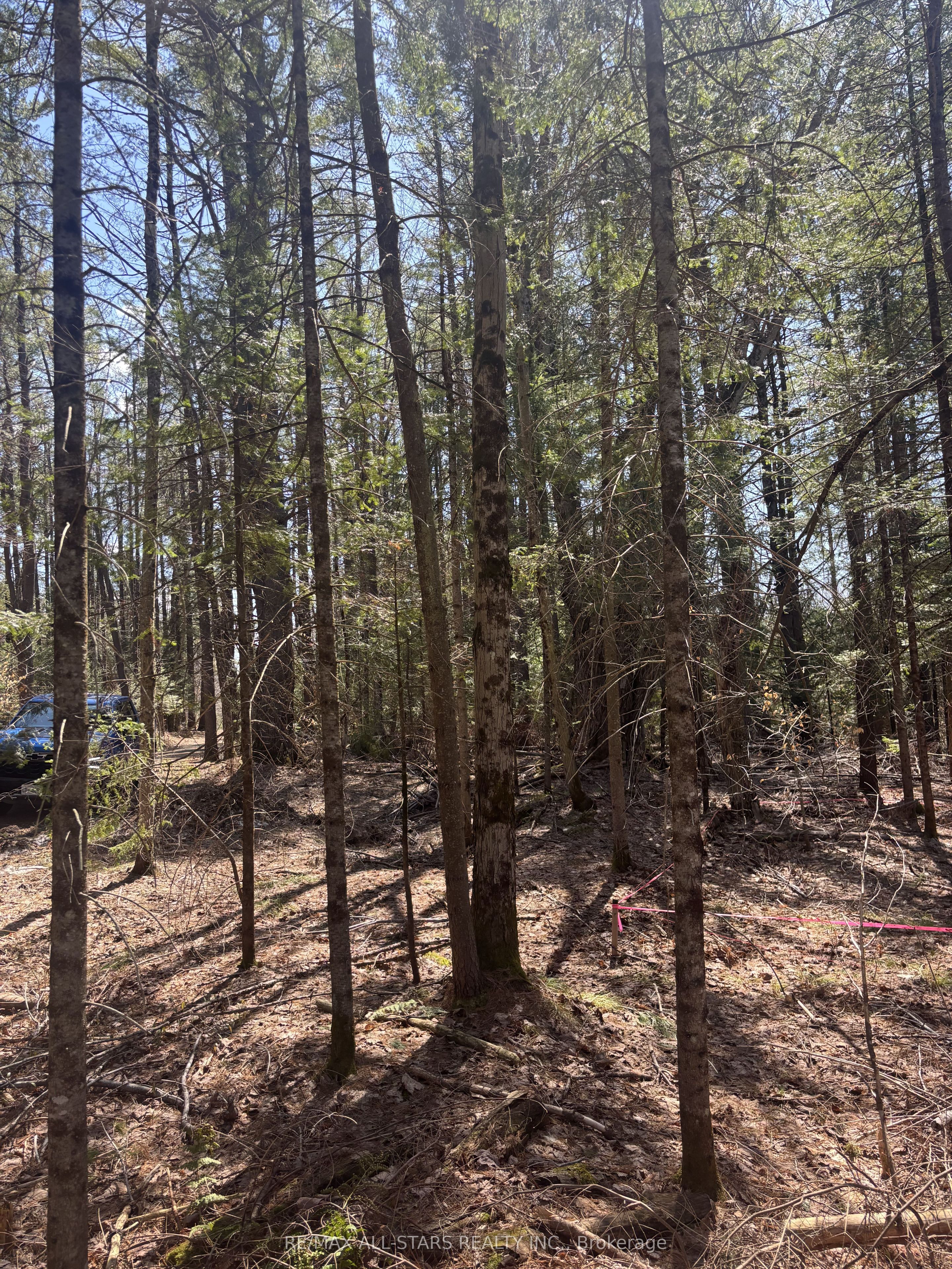 0 Kirkpatrick Lane, Bracebridge, ON P1L 1X3 photo 3