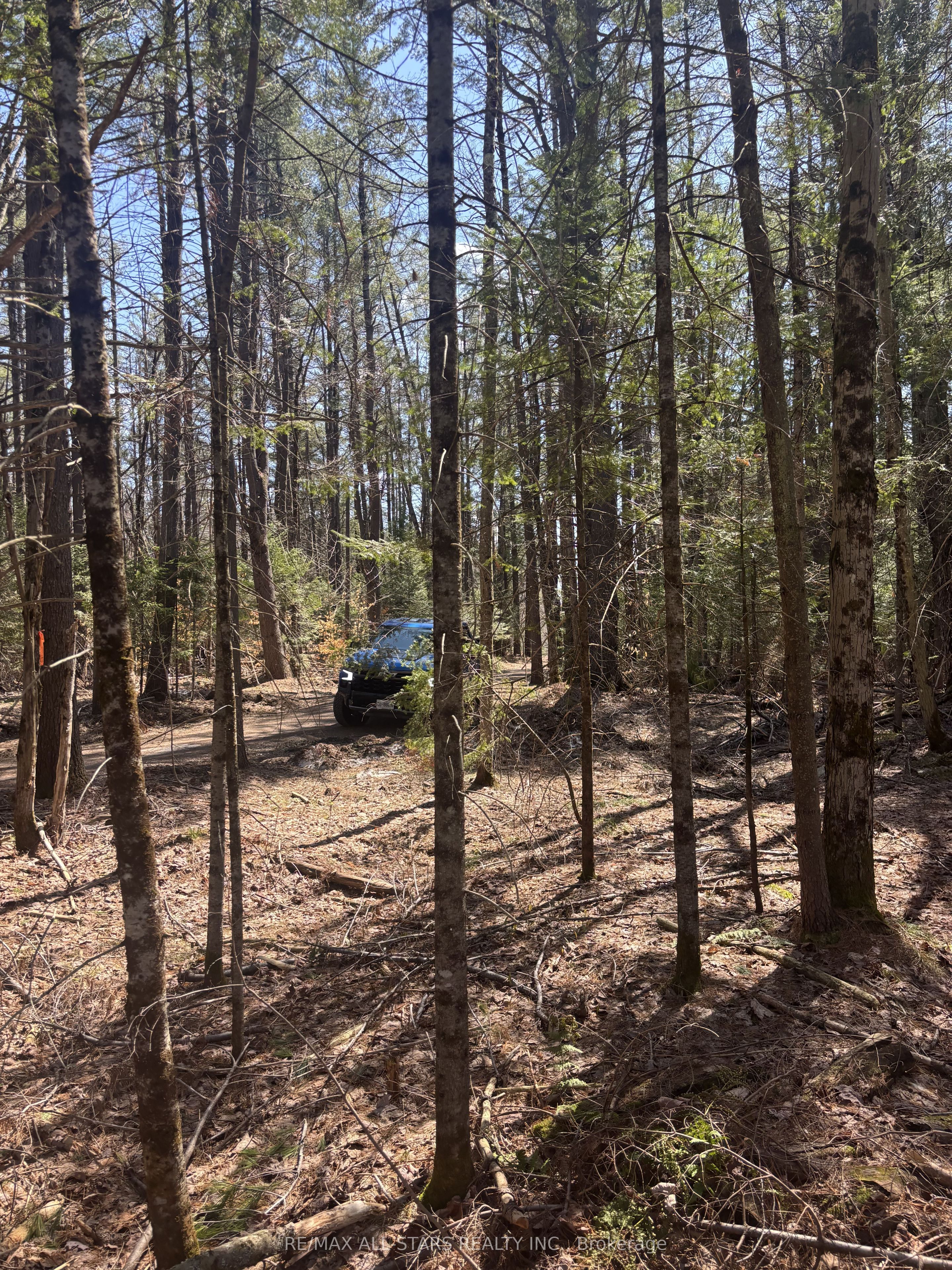 0 Kirkpatrick Lane, Bracebridge, ON P1L 1X3 photo 4