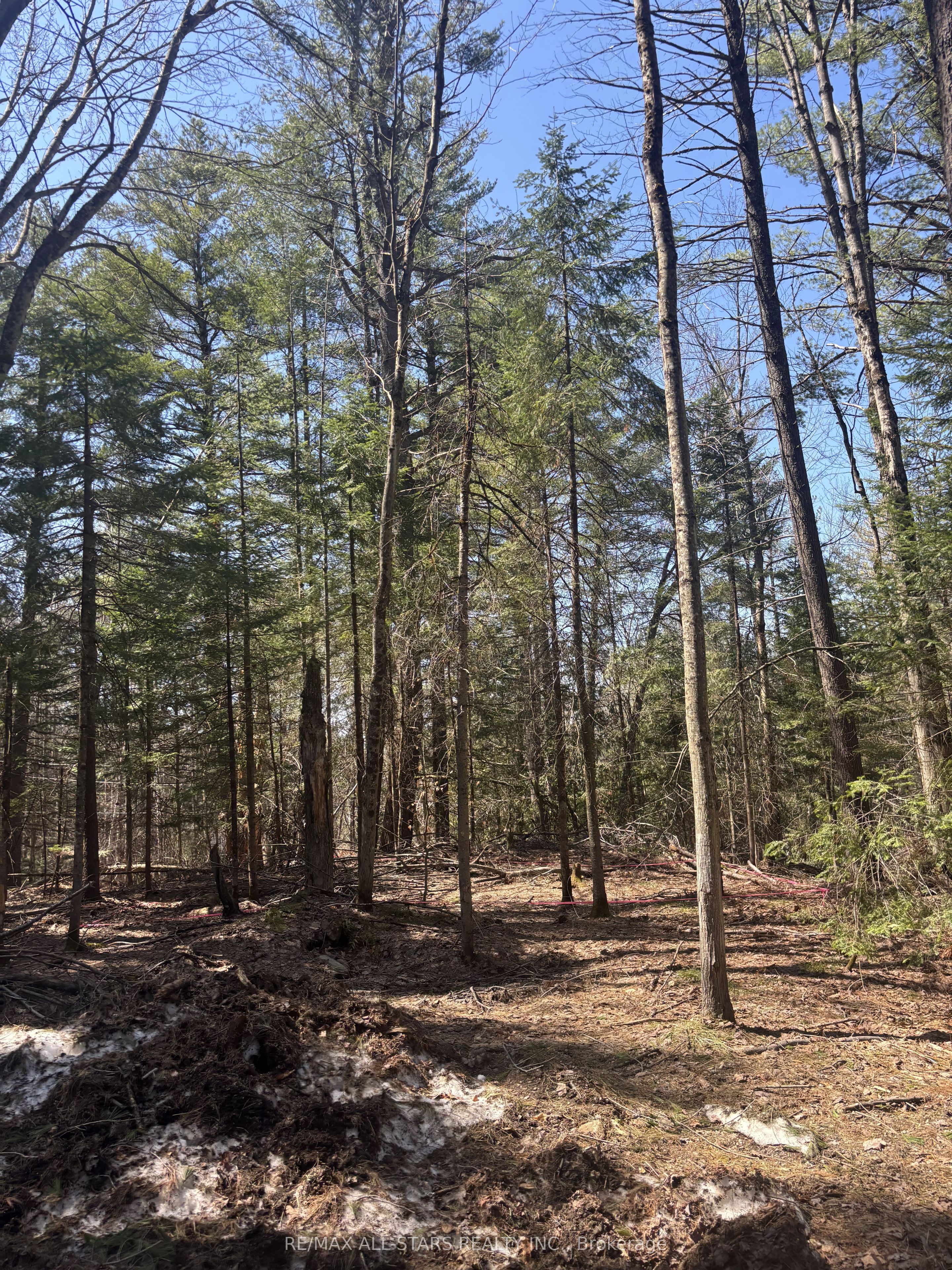 0 Kirkpatrick Lane, Bracebridge, ON P1L 1X3 photo 5
