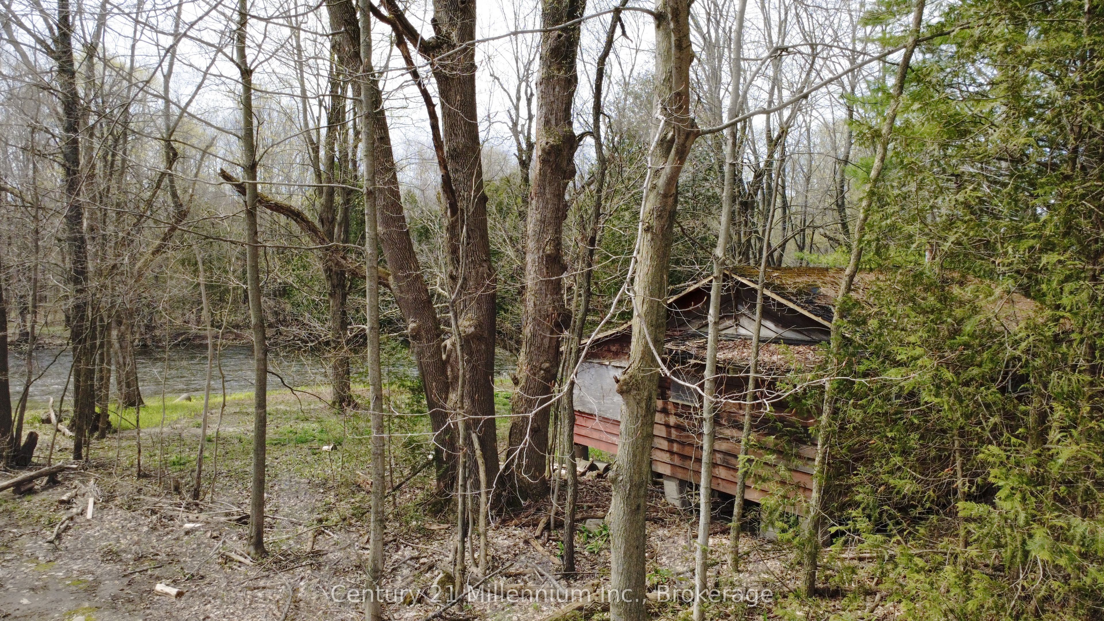 62 Roger's Crescent, South Bruce Peninsula, ON N0H 1P0 photo 5