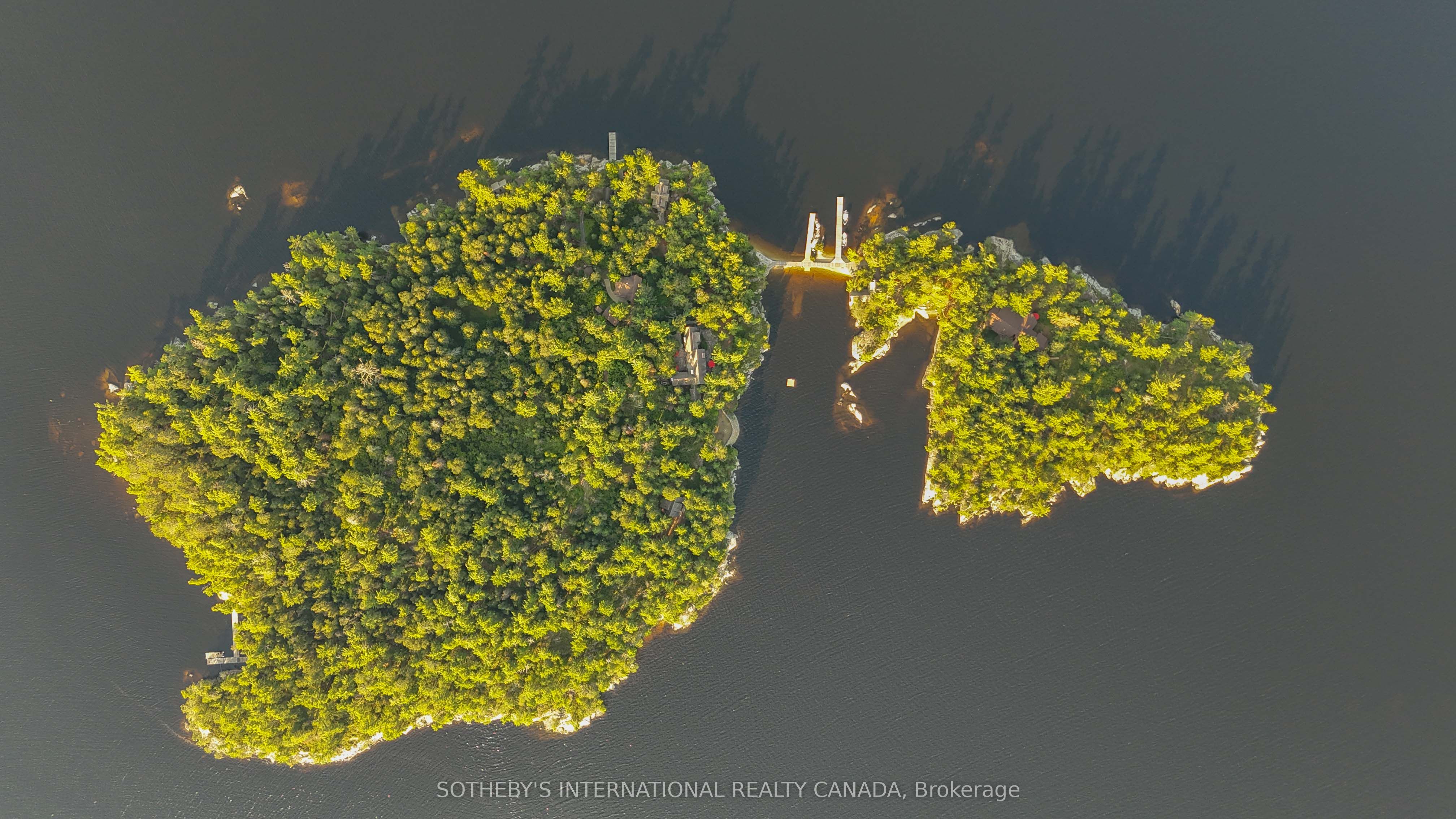1 French Island, Rainy River, ON P0W 1L0 photo 2