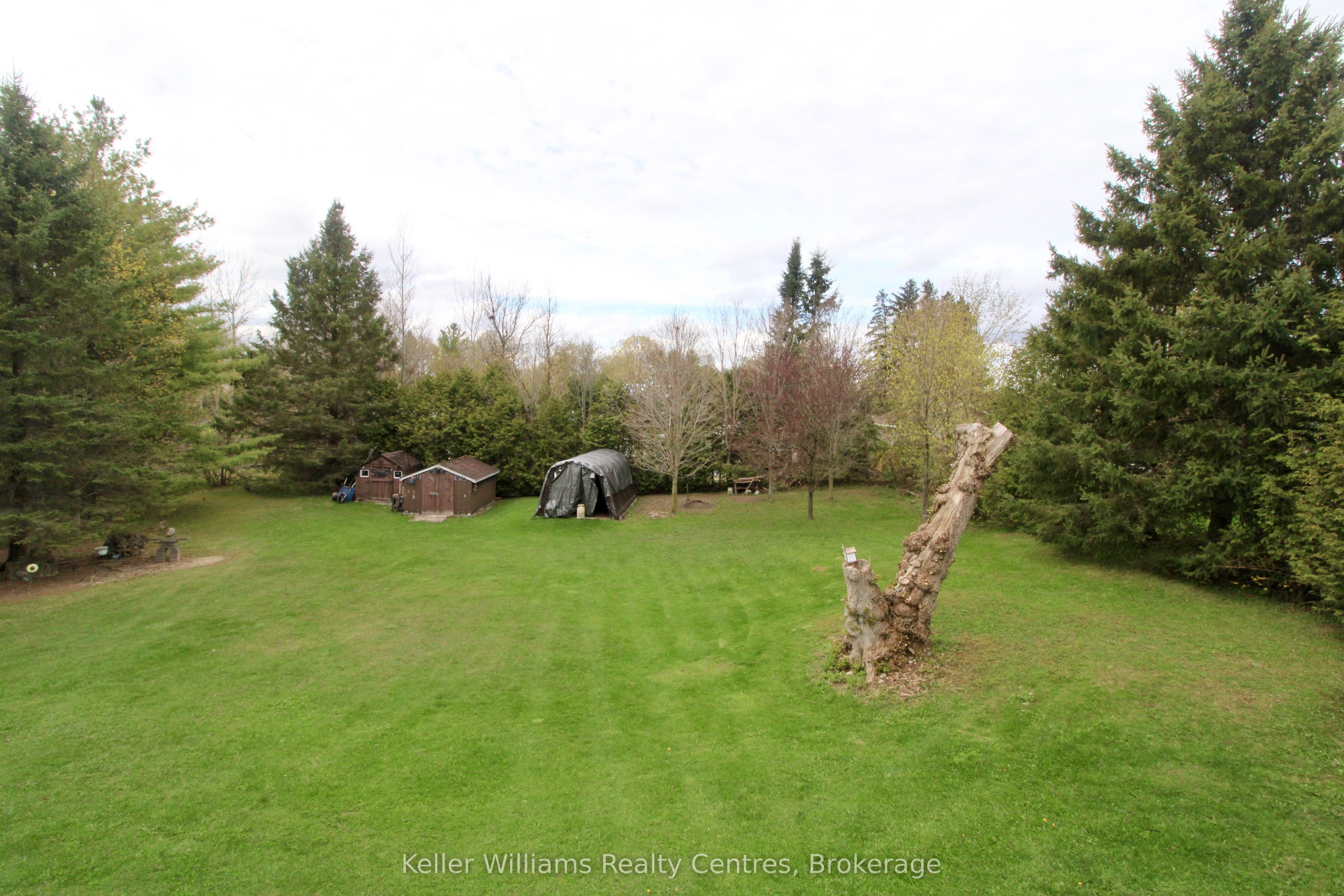 150 Douglas Street W, West Grey, ON N0G 1R0 photo 5