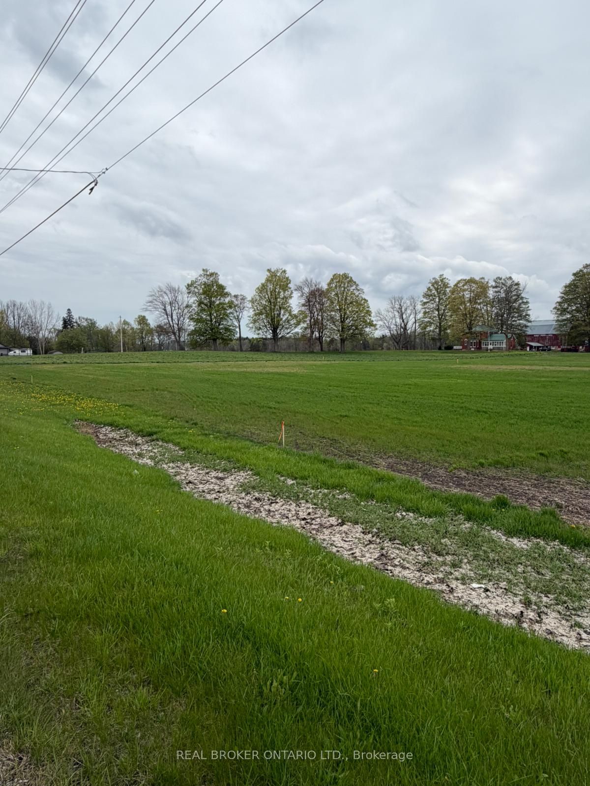 4929 Highway 59 LOT B, Norfolk, ON N0J 1E0 photo 2