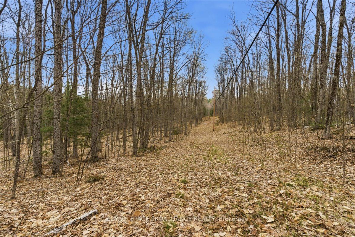0 Rekrview Lane, North Frontenac, ON K0H 1K0 photo 2