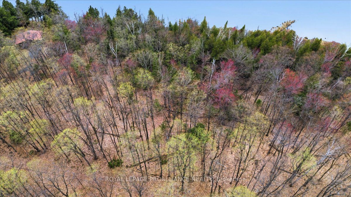 0 Rekrview Lane, North Frontenac, ON K0H 1K0 photo 3