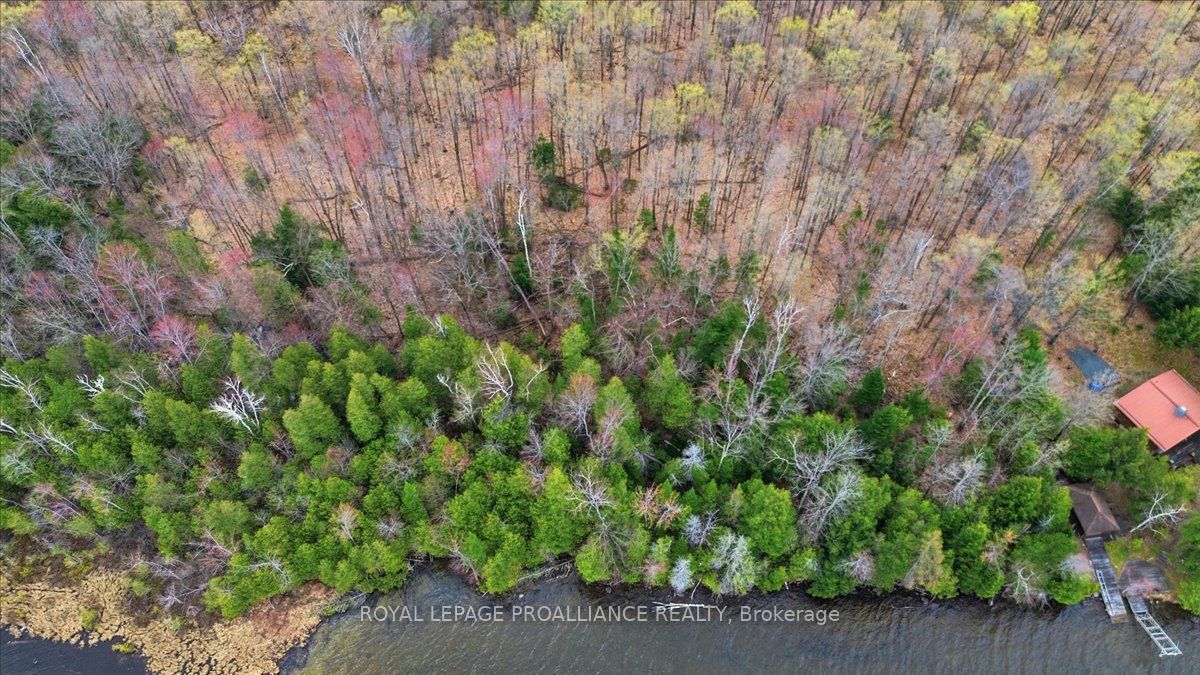 0 Rekrview Lane, North Frontenac, ON K0H 1K0 photo 4
