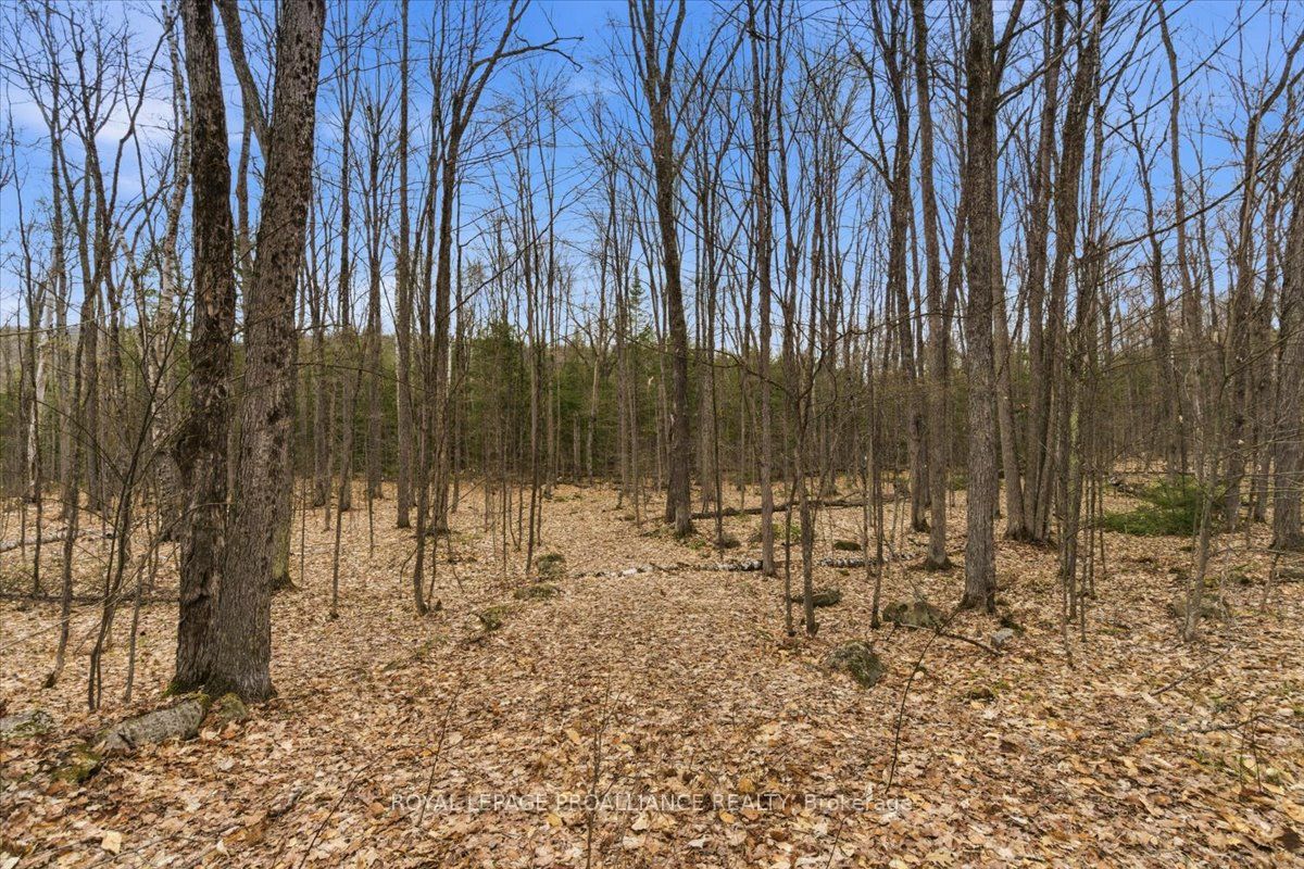 0 Rekrview Lane, North Frontenac, ON K0H 1K0 photo 5
