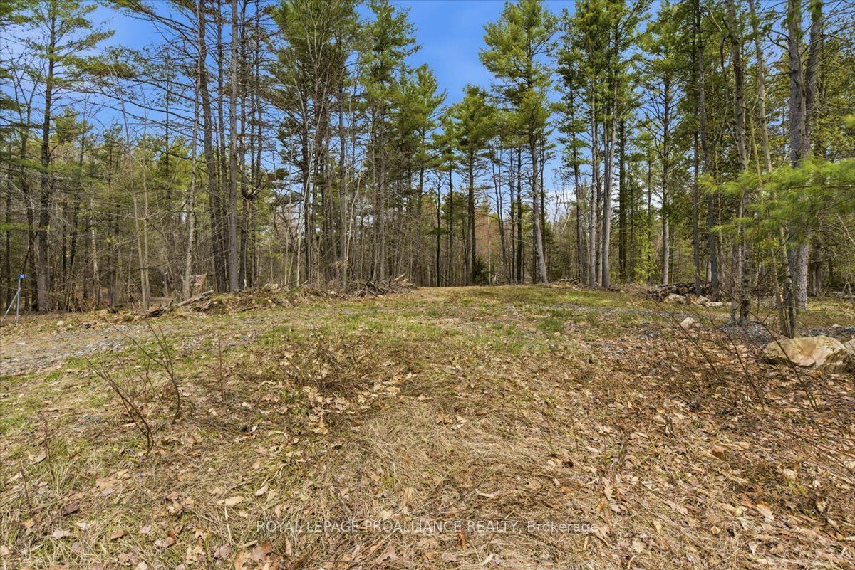 265 Addington Road 4 N/A, Frontenac, ON K0H 1K0 photo 4