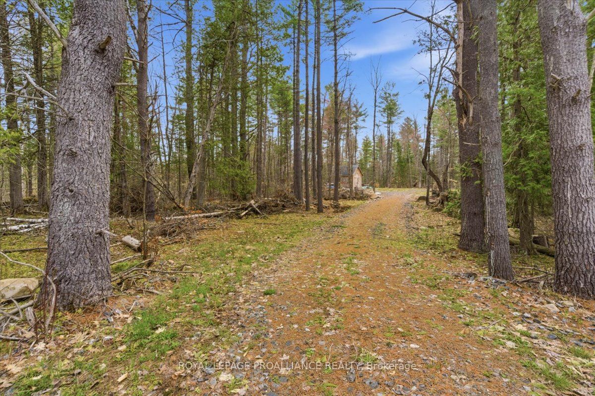 265 Addington Road 4 N/A, Frontenac, ON K0H 1K0 photo 5