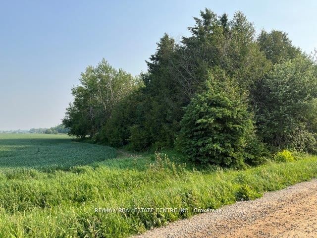 034541 Sideroad 21-22, East Luther Grand Valley, ON L9W 0H2 photo 5