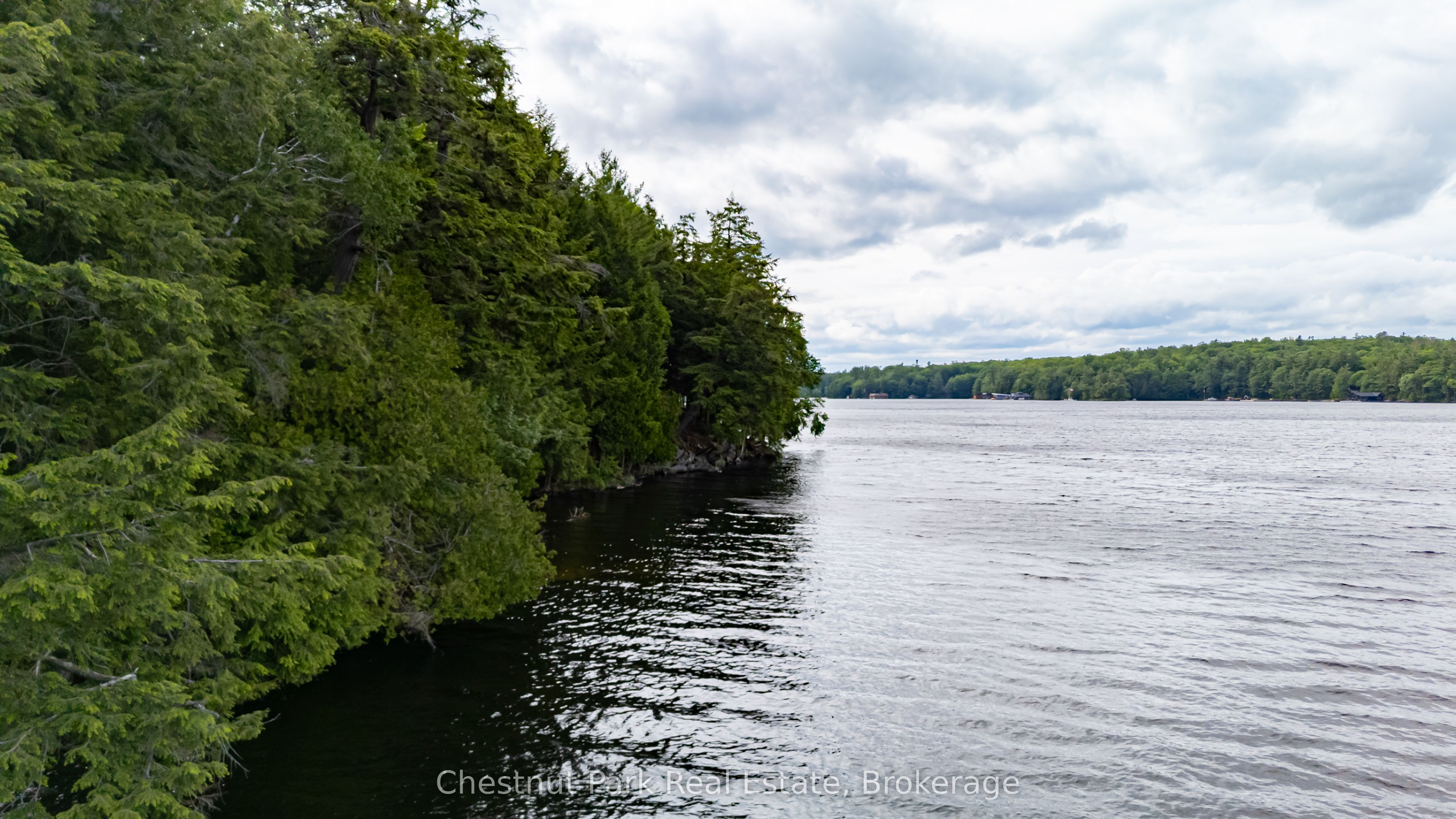 0 Meda Island Lot 1 N/A, Muskoka Lakes, ON P0B 1J0 photo 3