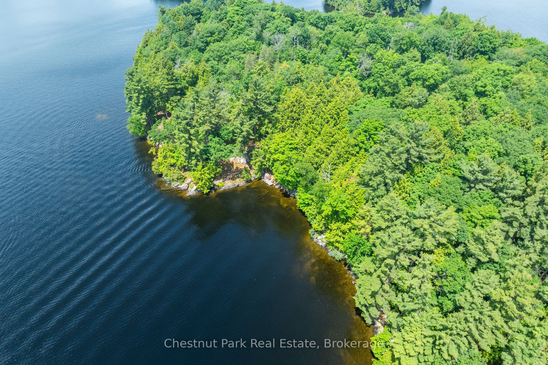 0 Meda Island Lot 5 N/A, Muskoka Lakes, ON P0B 1J0 photo 3