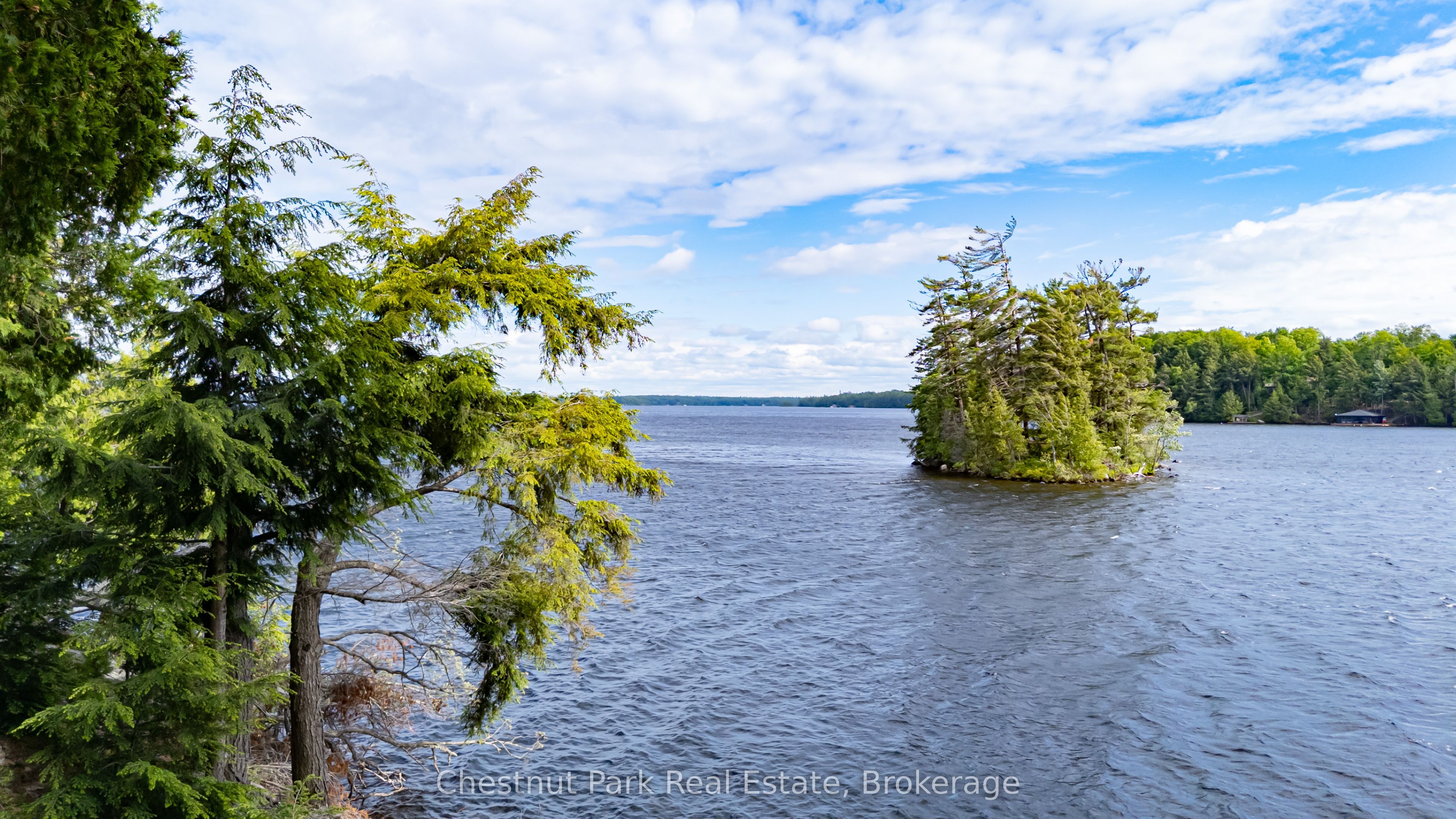 0 Meda Island Lot 5 N/A, Muskoka Lakes, ON P0B 1J0 photo 4
