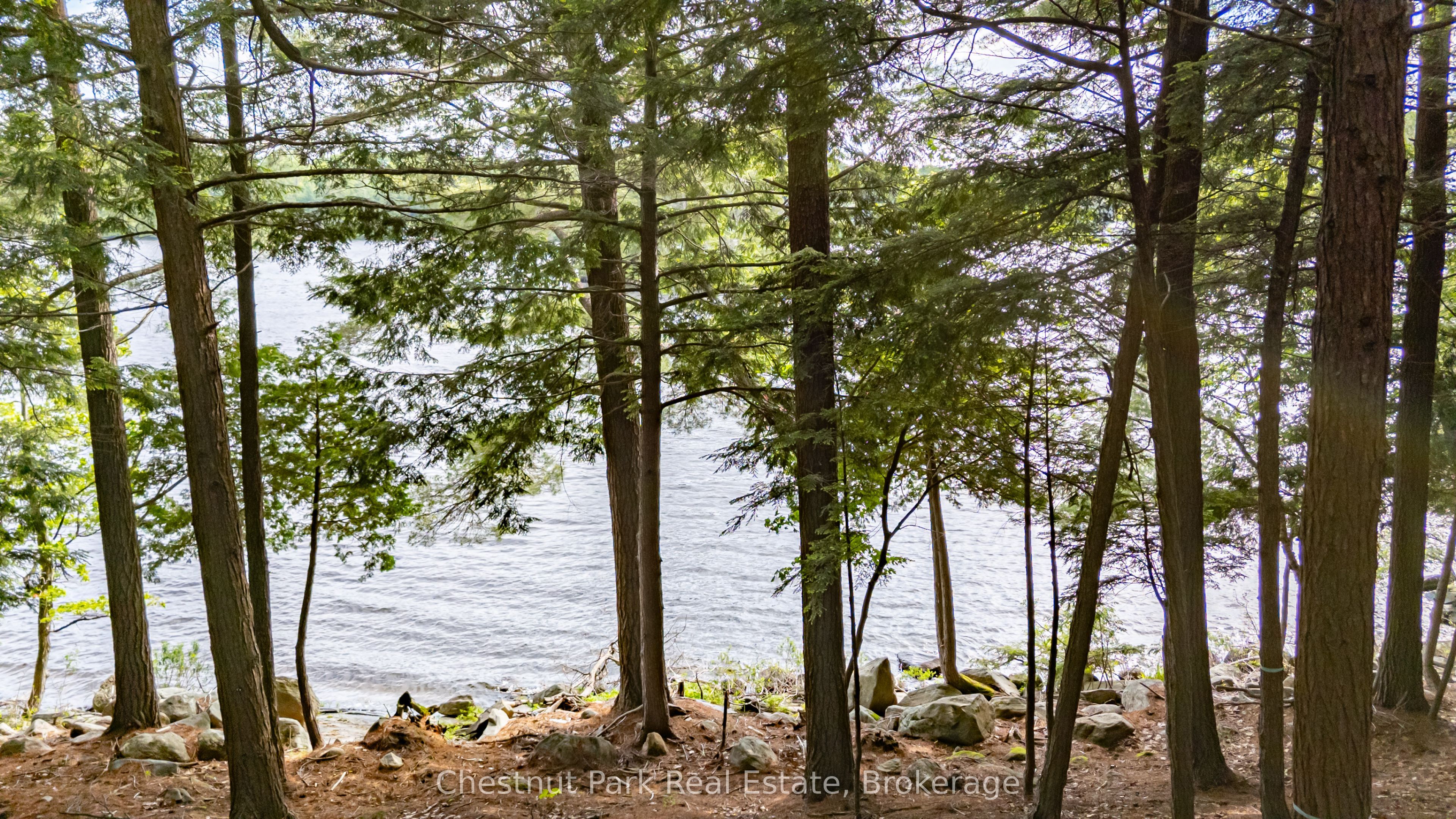 0 Meda Island Lot 5 N/A, Muskoka Lakes, ON P0B 1J0 photo 5