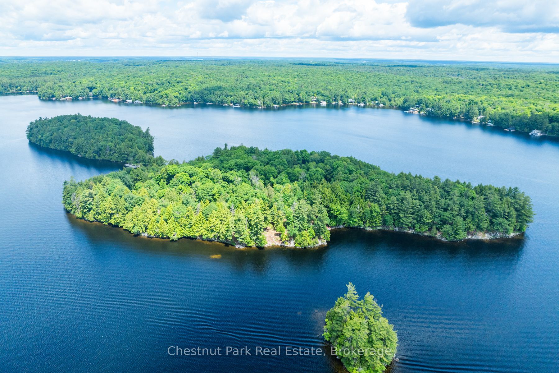 0 Meda Island Lot 4 N/A, Muskoka Lakes, ON P0B 1J0 photo 2