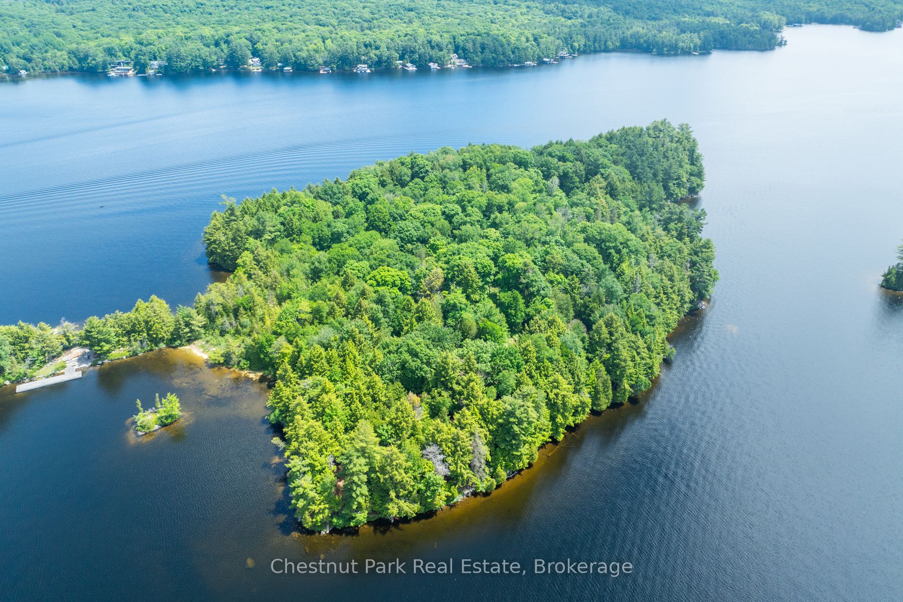 0 Meda Island Lot 3 N/A, Muskoka Lakes, ON P0B 1J0 photo 2