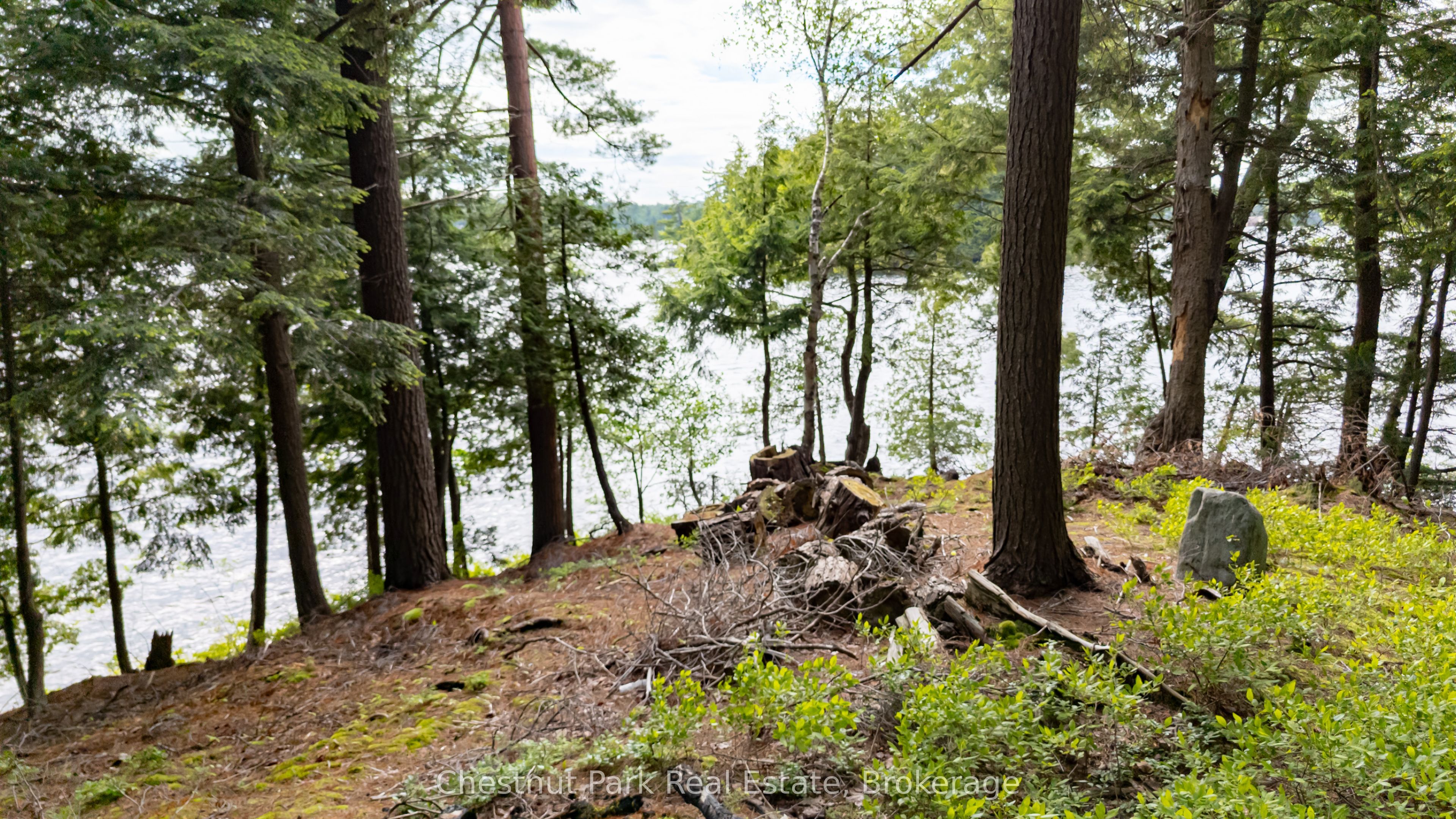 0 Meda Island Lot 3 N/A, Muskoka Lakes, ON P0B 1J0 photo 3