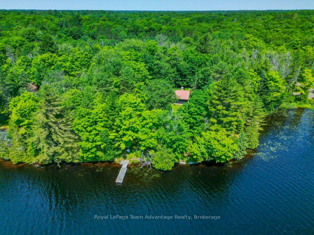 11 Birch Lane, McDougall, ON P2A 2W7 photo 5