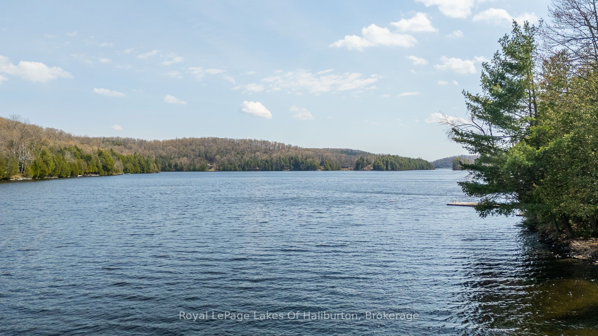 1027 Spencers Trail, Highlands East, ON K0M 1X0 photo 3