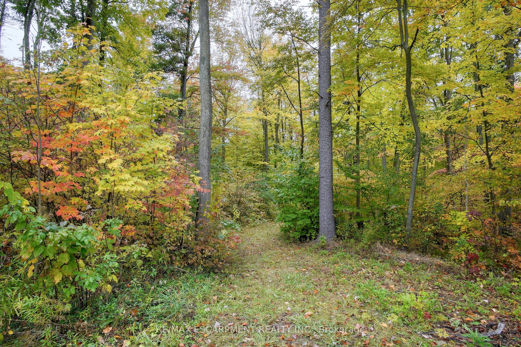 1392 Wrigley Road, North Dumfries, ON N0B 1E0 photo 4