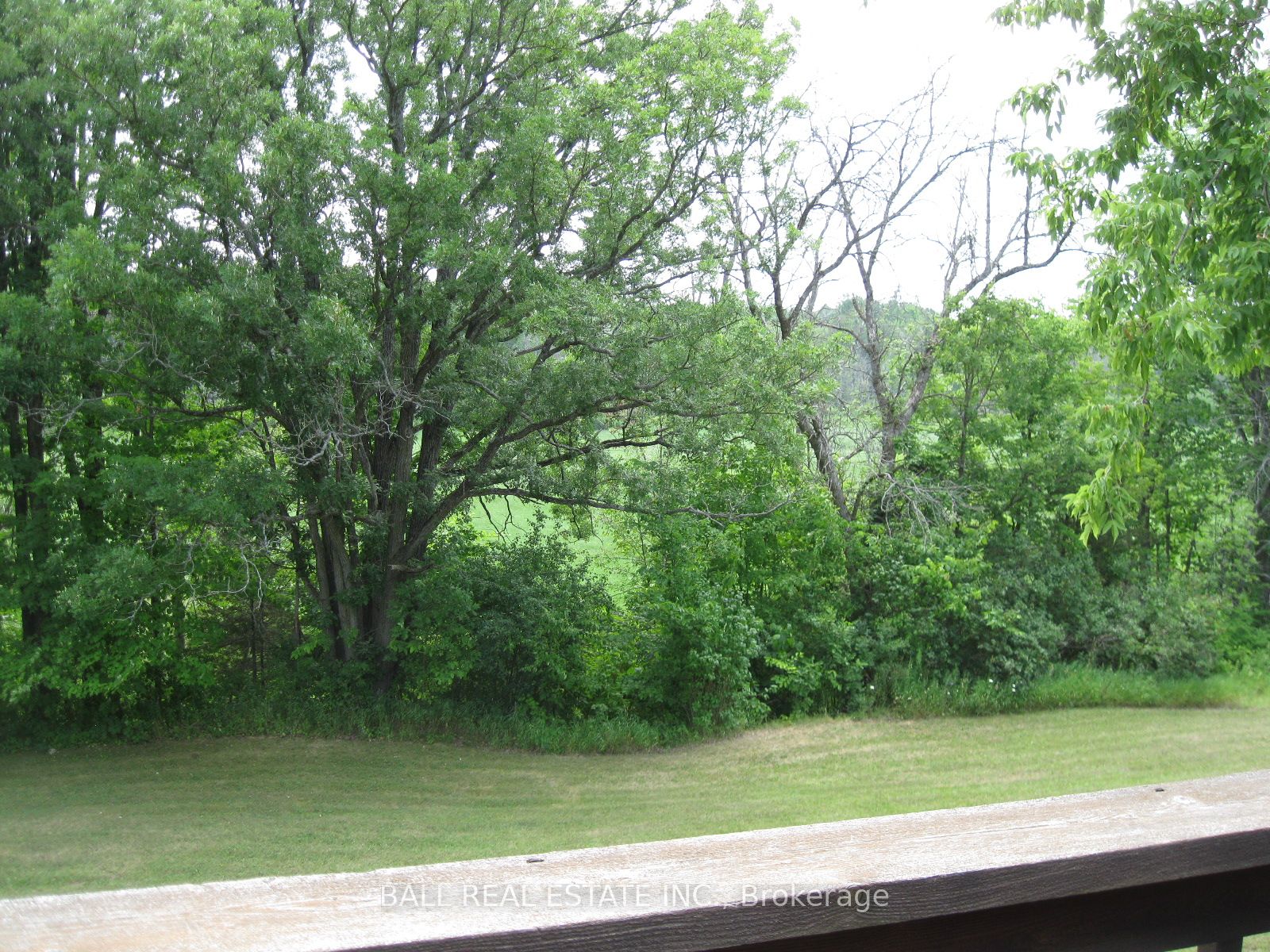 895 Crowe River Road, Trent Hills, ON K0K 2M0 photo 4
