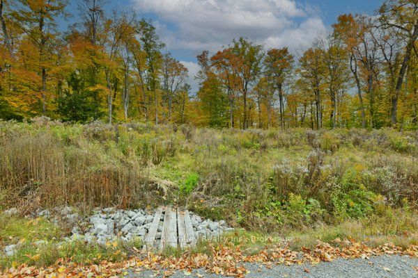83 Shady Maple Road, McNab/Braeside, ON K0J 1G0 photo 5