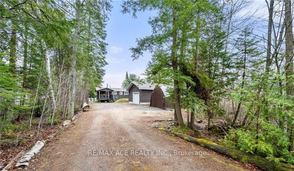 1440 Clement Lake Road, Highlands East, ON K0L 3C0 photo 5