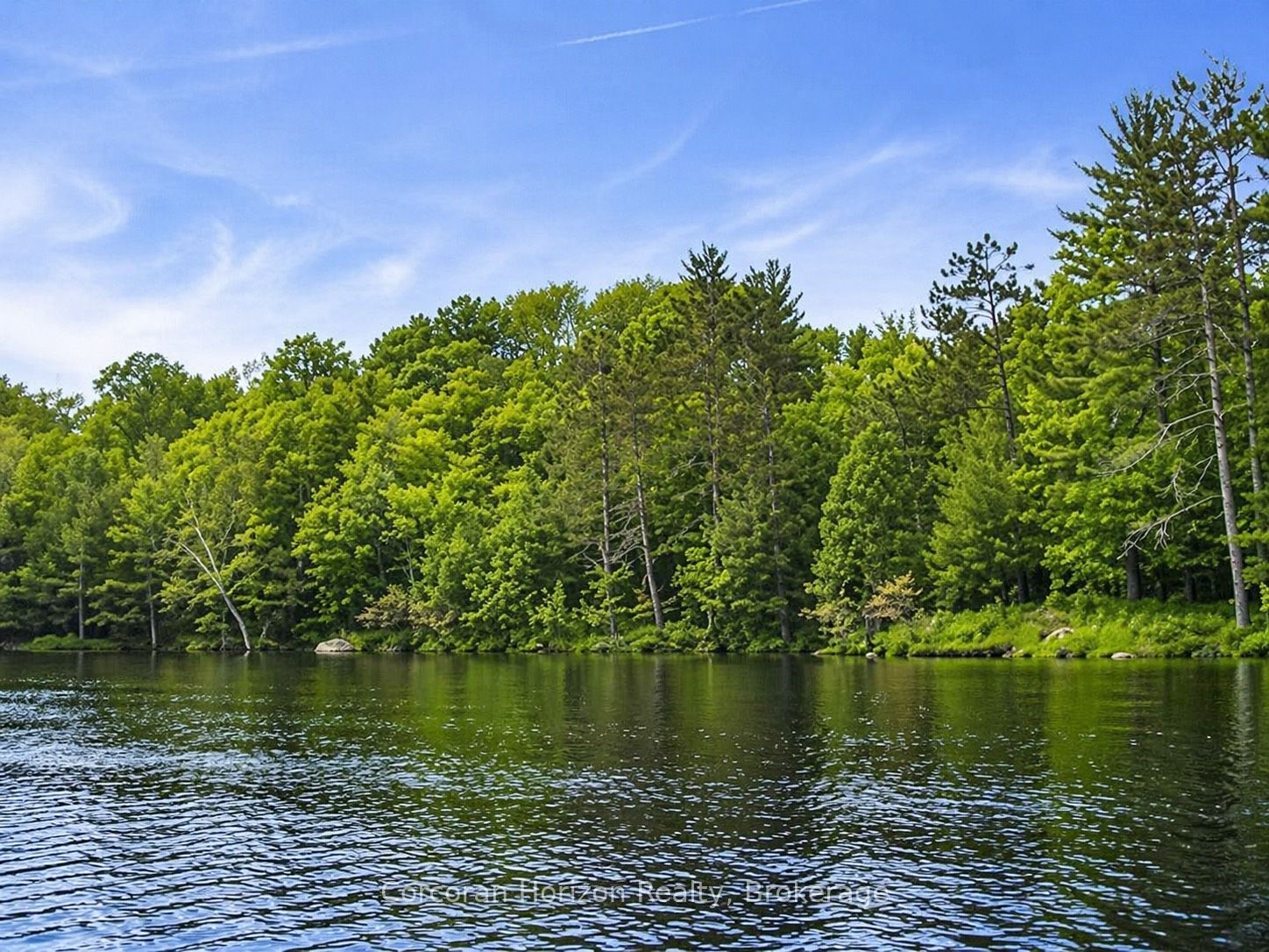 20 Part Lot 13 Concession, Muskoka Lakes, ON P0C 1A0 photo 3