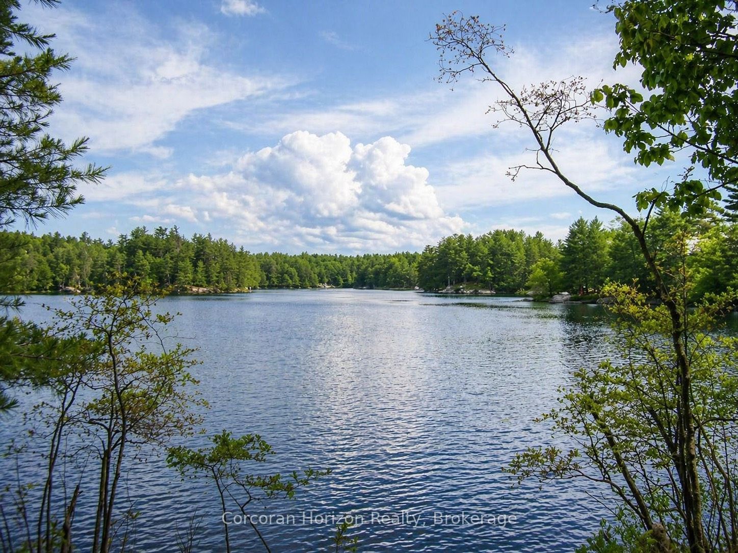 20 Part Lot 13 Concession, Muskoka Lakes, ON P0C 1A0 photo 4