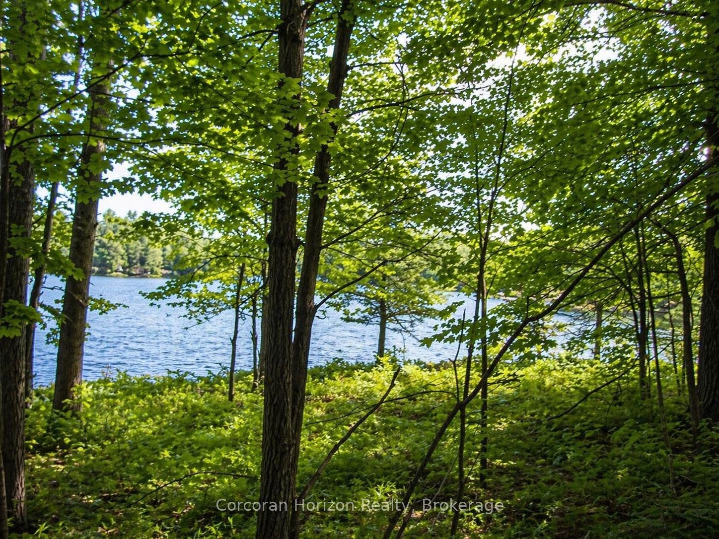 20 Part Lot 13 Concession, Muskoka Lakes, ON P0C 1A0 photo 5