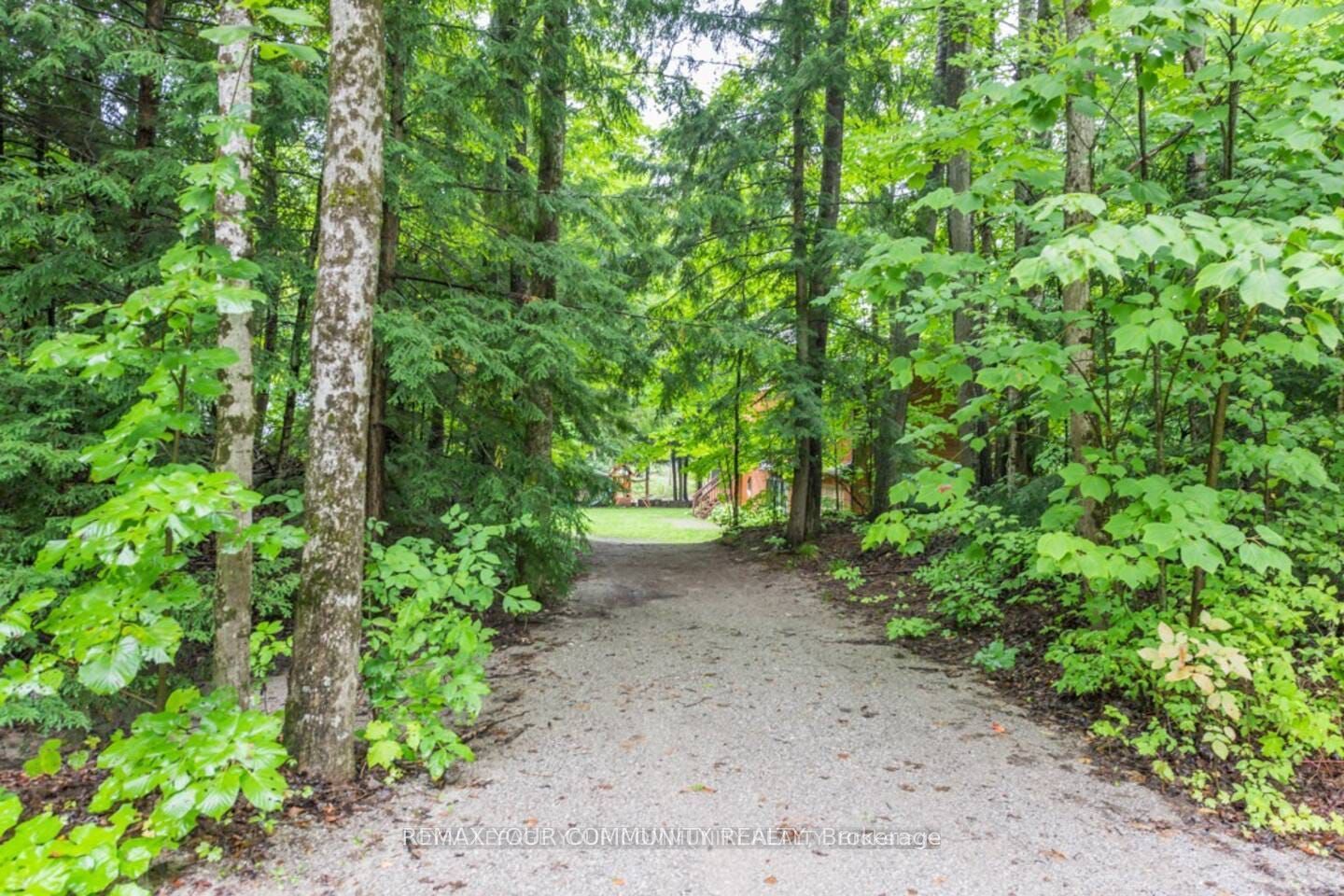 2085 Crystal Lake Road, Trent Lakes, ON K0M 2A0 photo 4