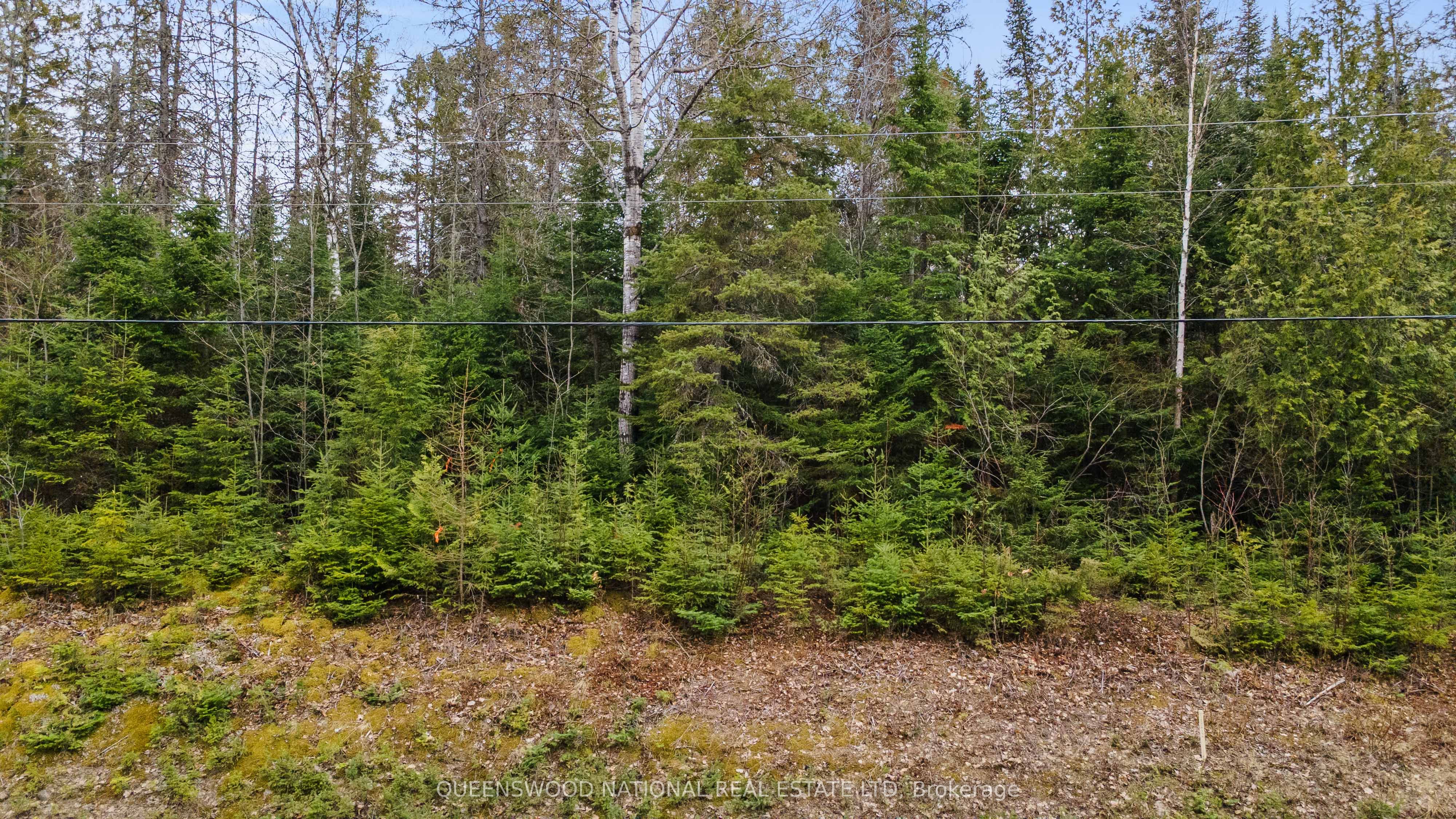 0 Siberia Road, Madawaska Valley, ON K0J 1B0 photo 5