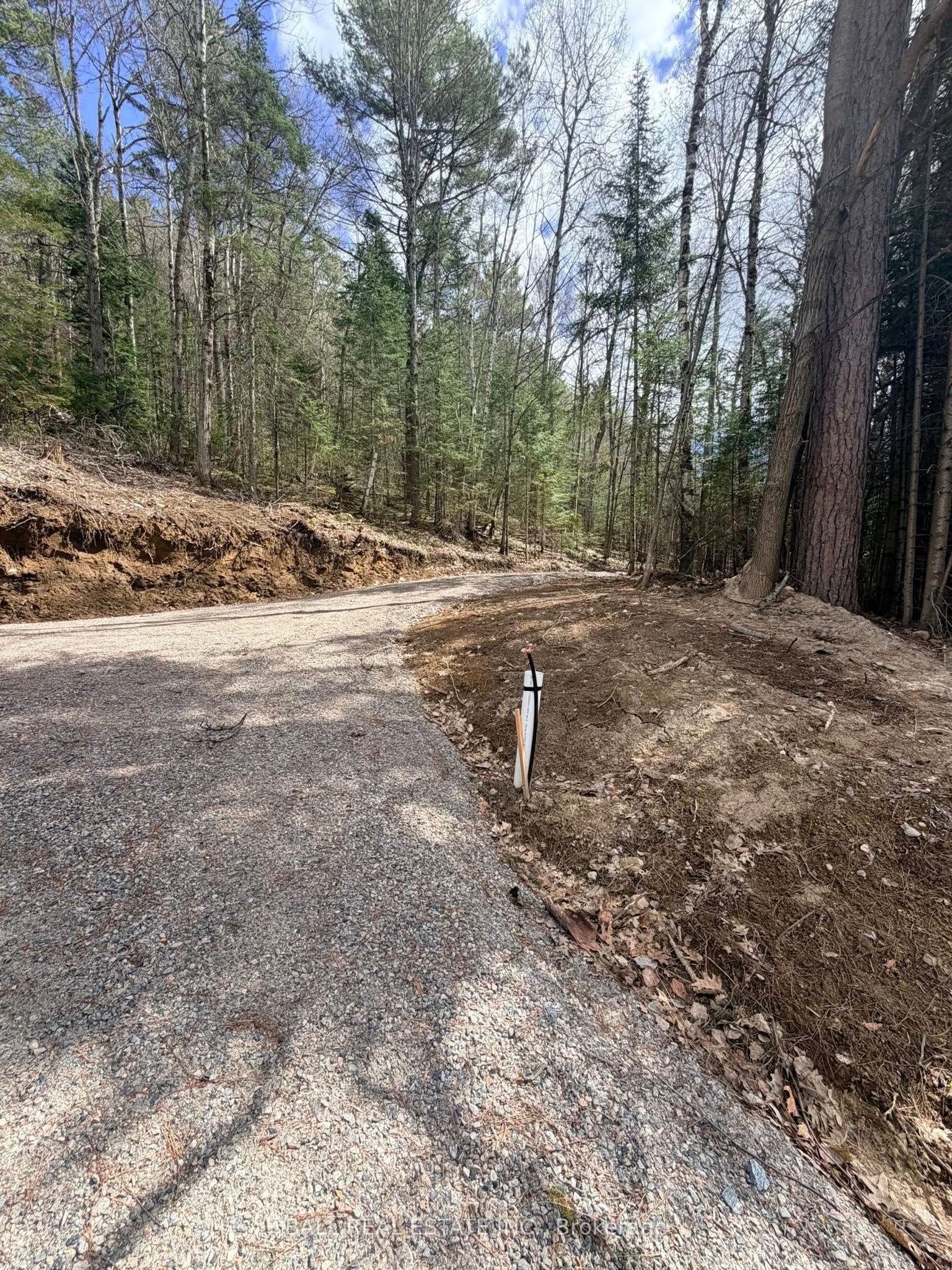 0 Highway 62 N N/A, Bancroft, ON K0L 1C0 photo 3