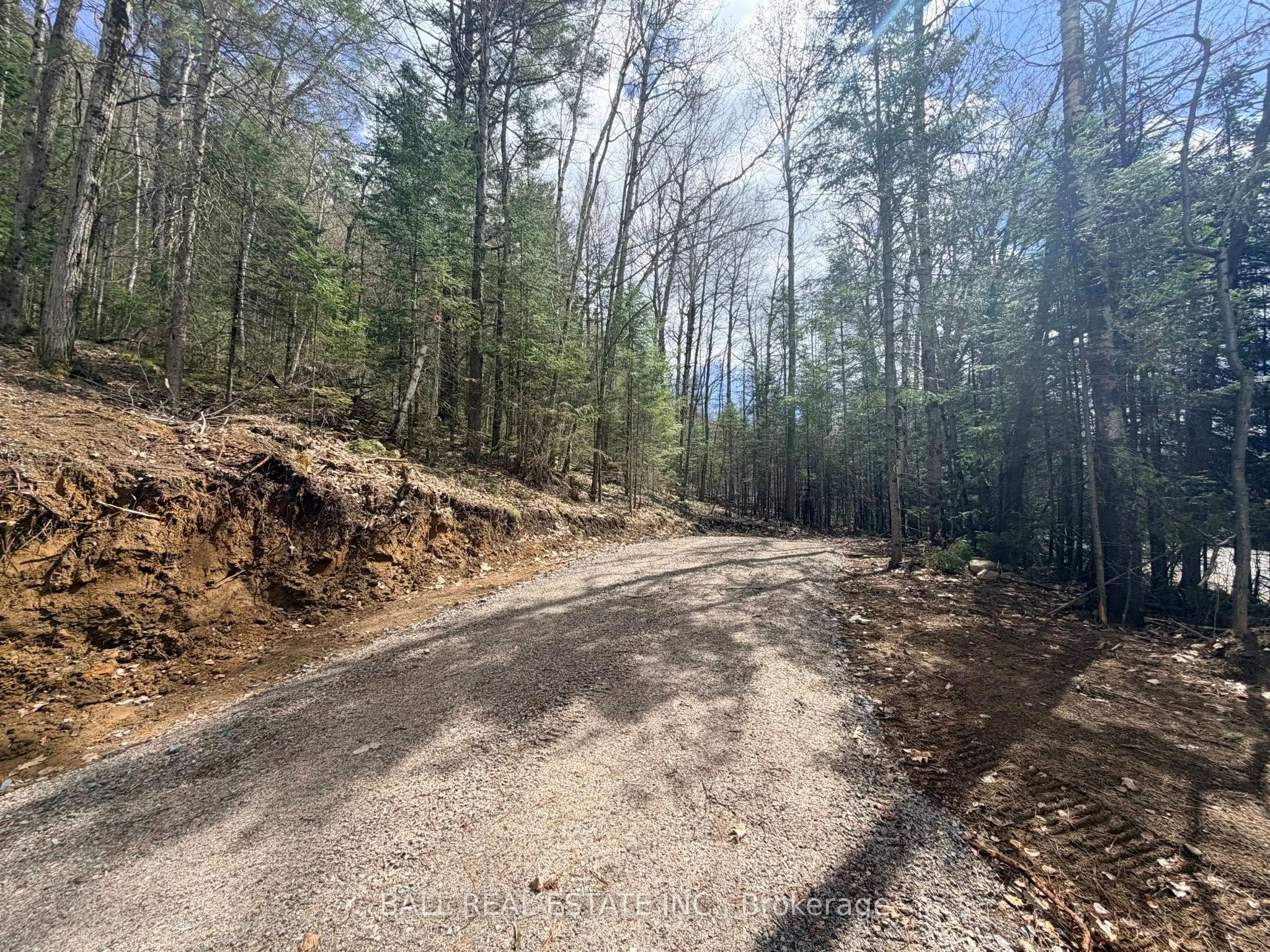 0 Highway 62 N N/A, Bancroft, ON K0L 1C0 photo 4