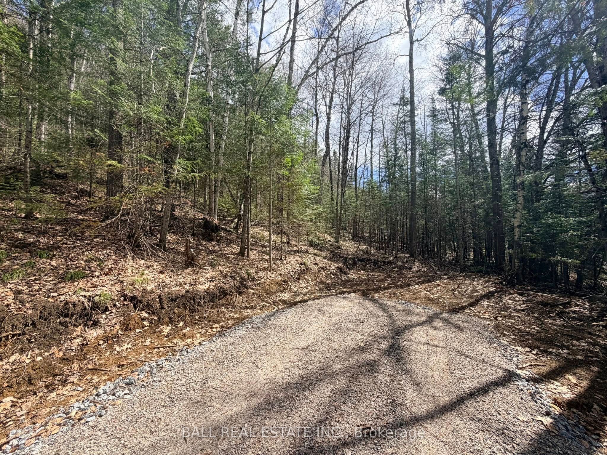 0 Highway 62 N N/A, Bancroft, ON K0L 1C0 photo 5