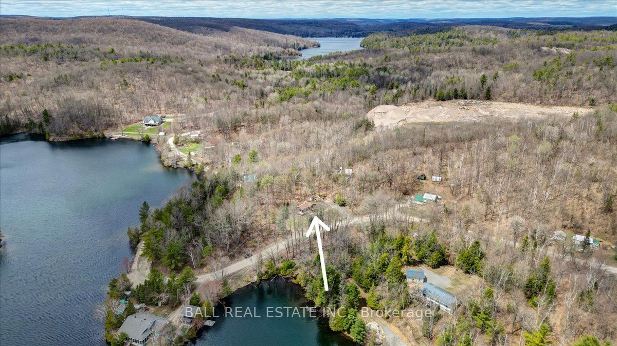 164 Trout Lake Road, Faraday, ON K0L 1C0 photo 5
