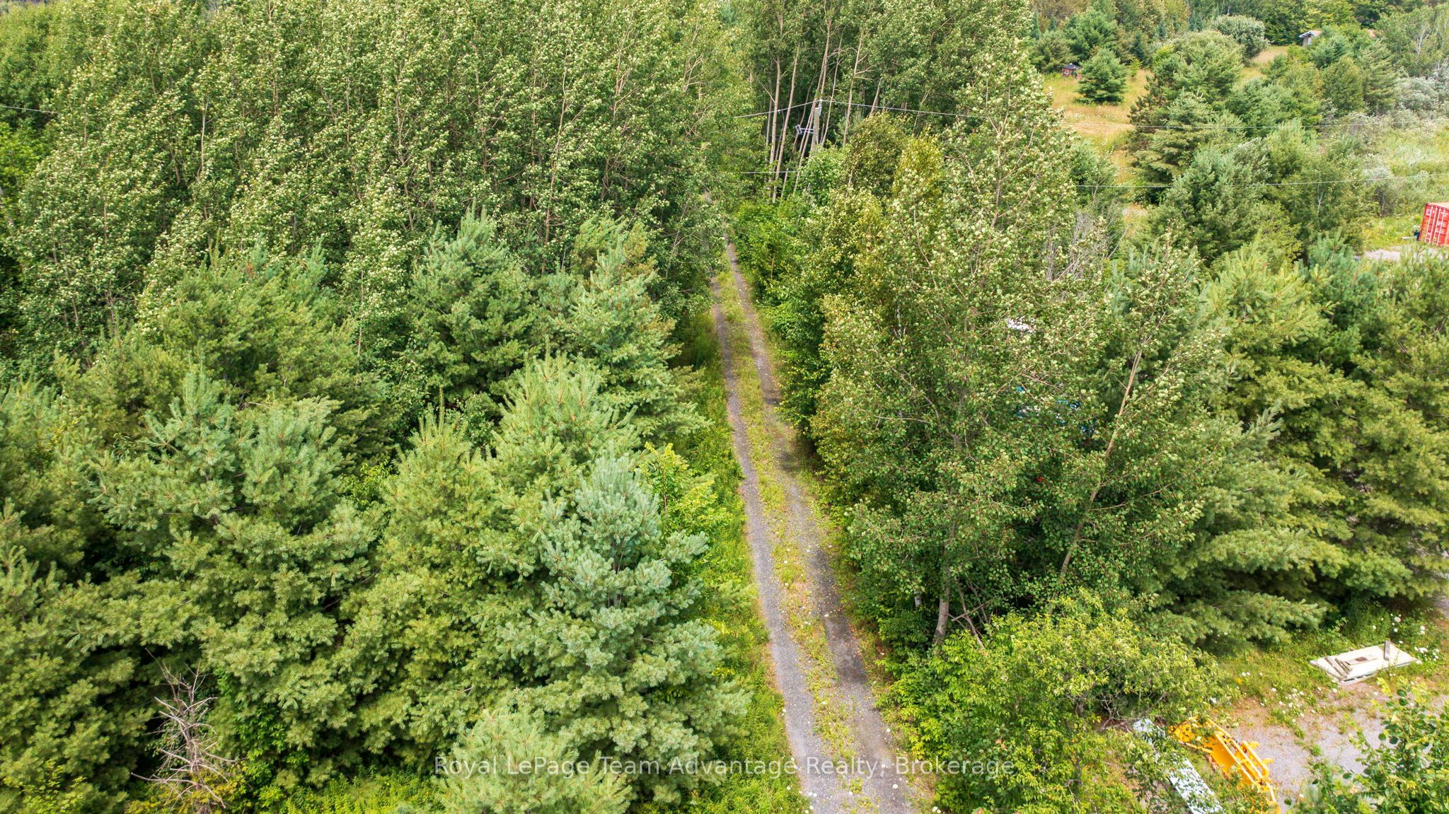 732 124 Highway, McKellar, ON P0G 1C0 photo 5