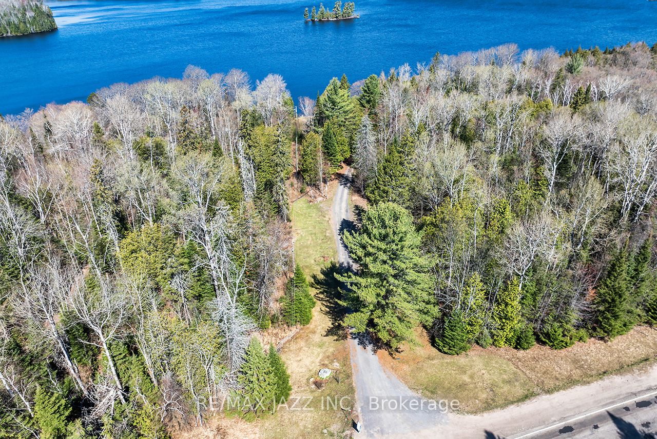 37343 Highway 62 N/A N, Hastings Highlands, ON K0L 2S0 photo 5
