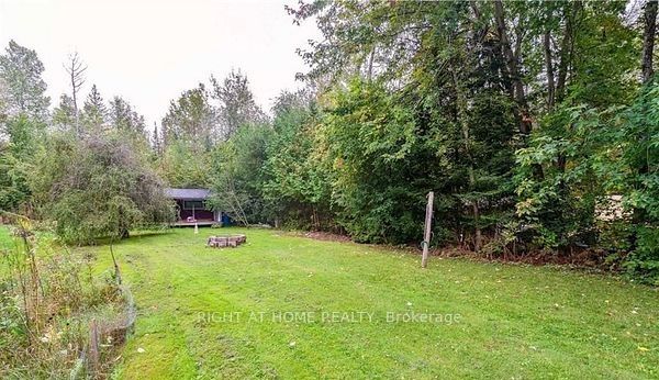 71 Antiquary Road, Kawartha Lakes, ON K0M 2T0 photo 4