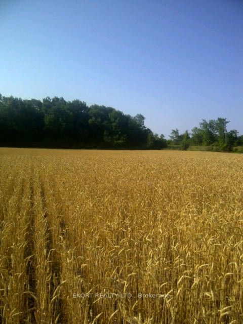 PL17 62 Highway S, Prince Edward County, ON K0K 1G0 photo 2