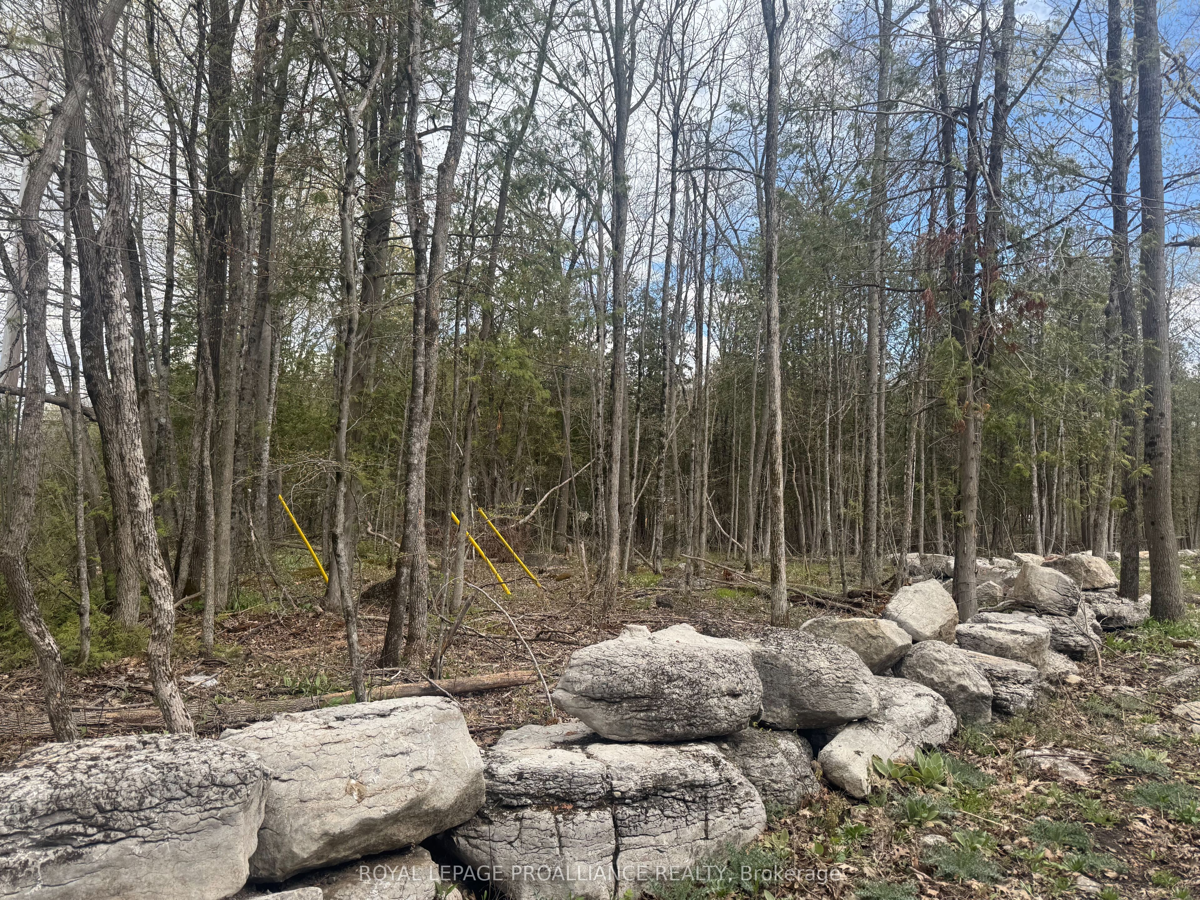 378 Station Road, Marmora and Lake, ON K0K 2M0 photo 3
